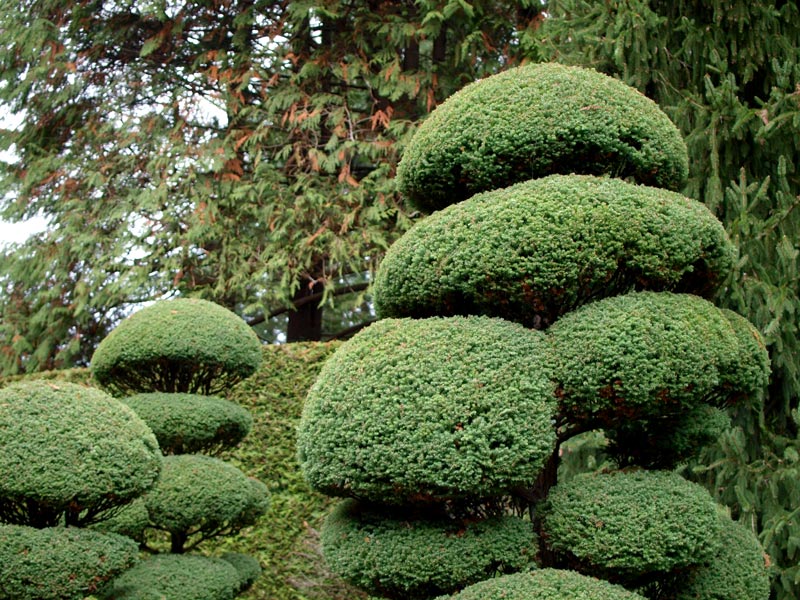 5 Best Gardens in Victoria, BC