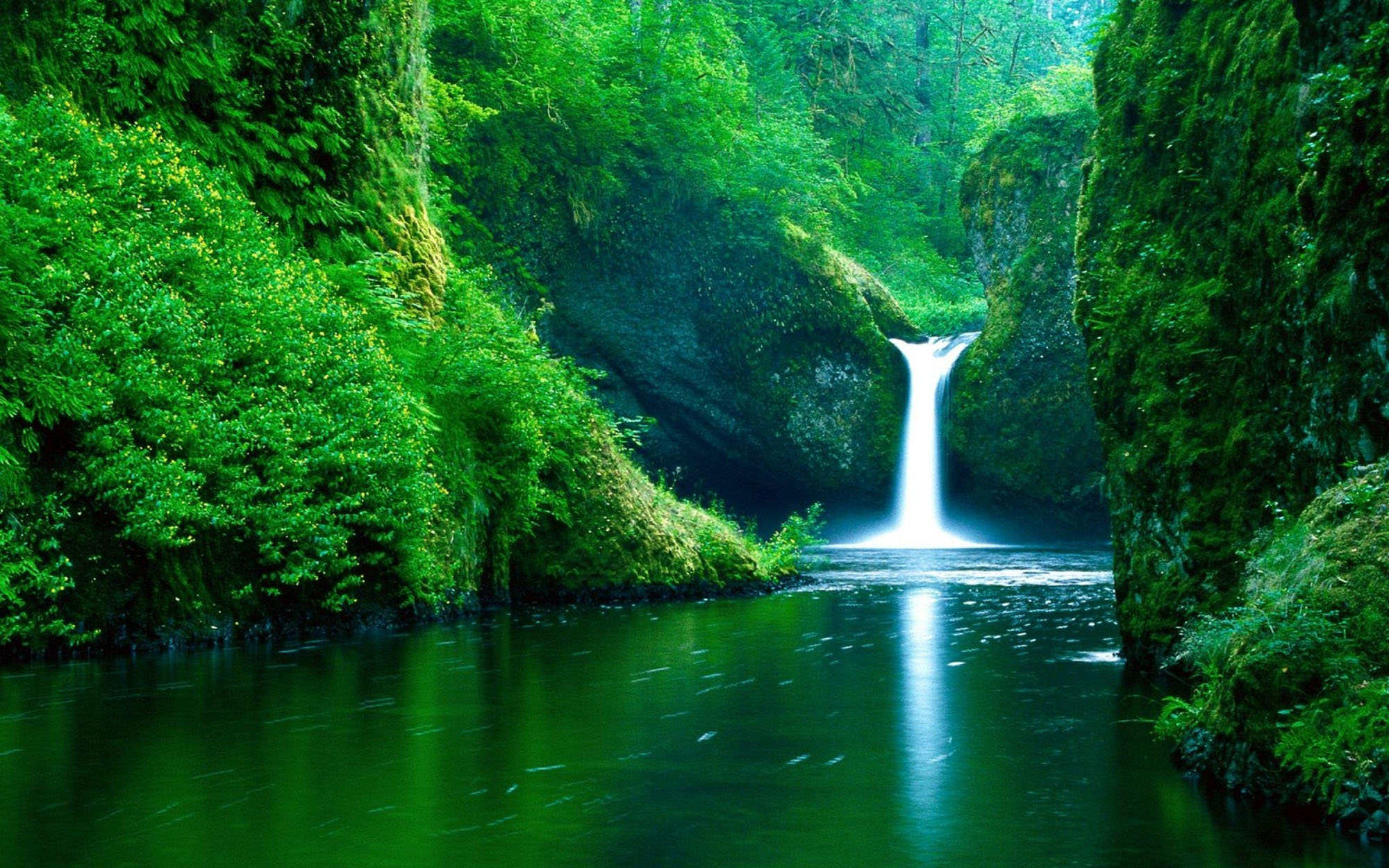 waterfall jungle.jpg