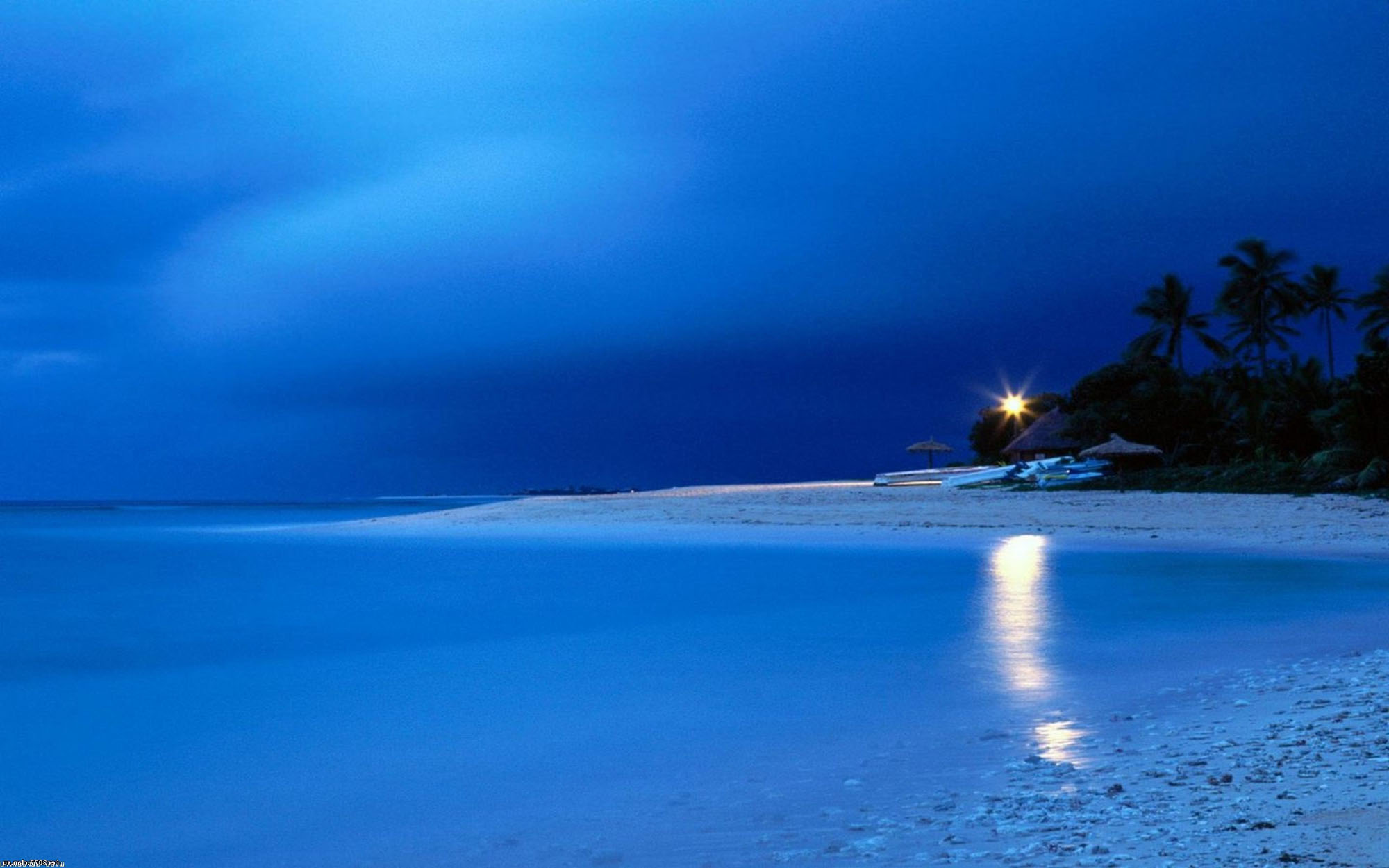 night beach.jpg