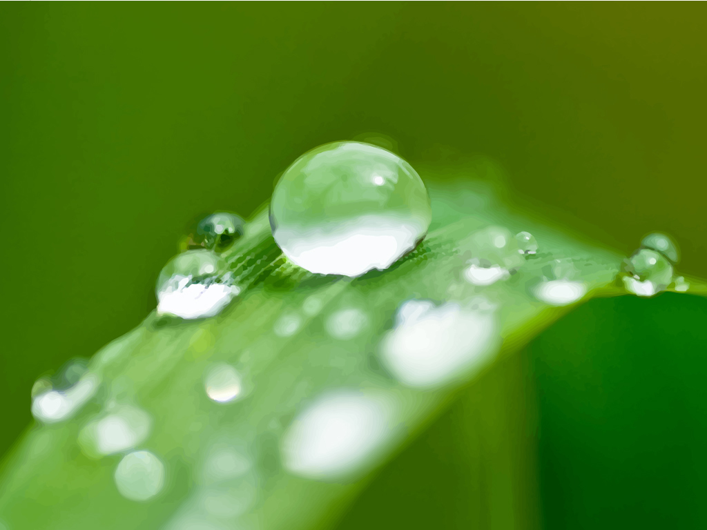 FreeVector-Macro-Dew-Image-Vector.jpg