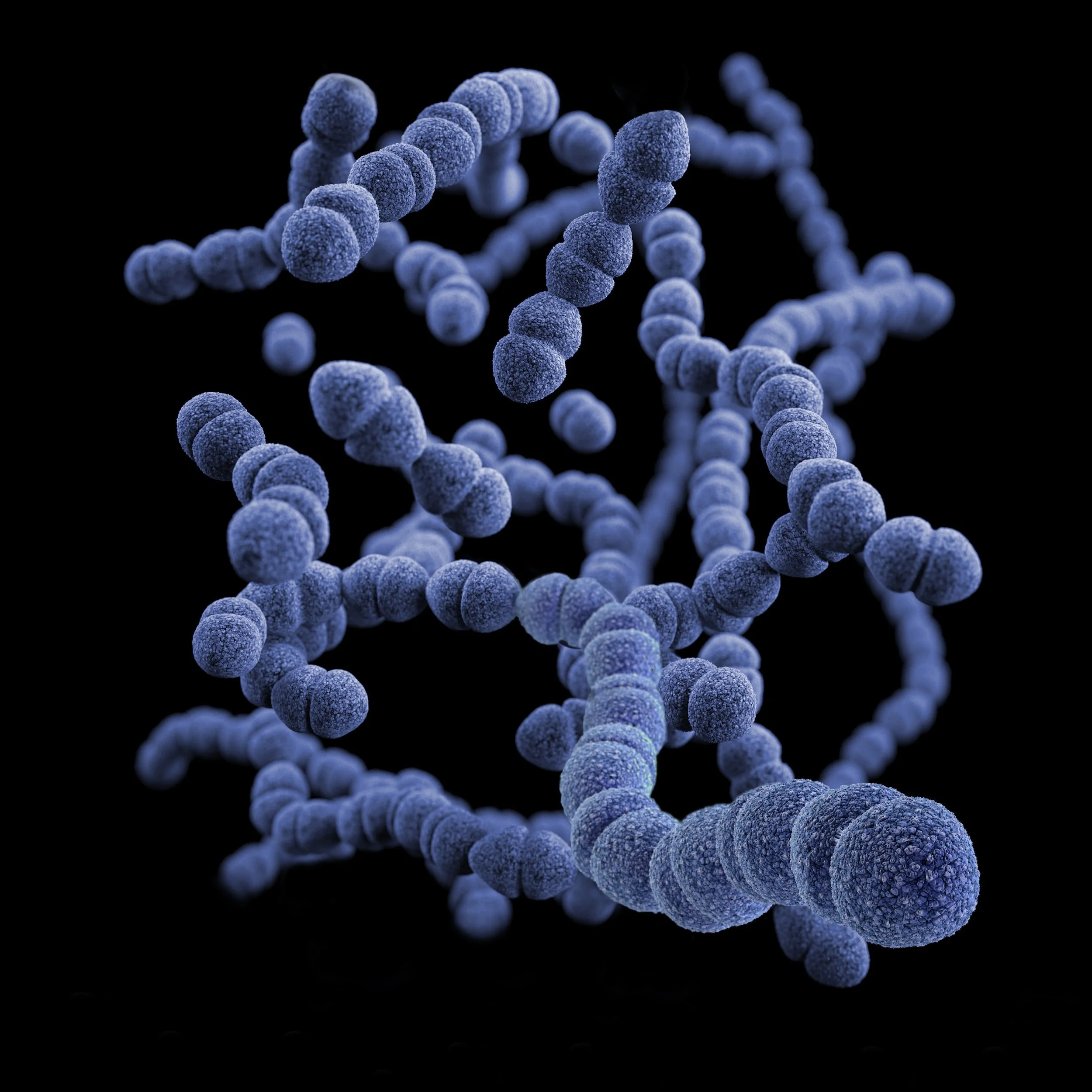 The Surprising Link Between Gut Health and Addiction: How To Help Prevent Drug Abuse