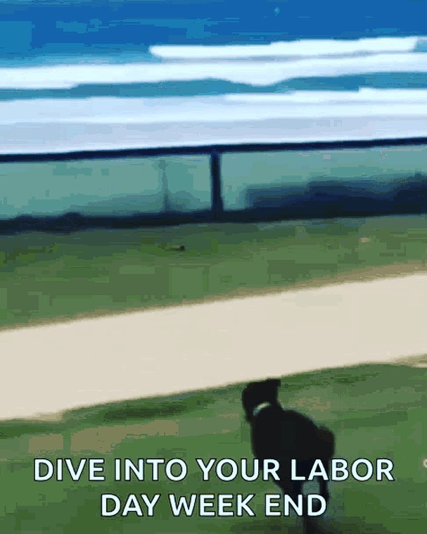 Happy Labor Day Weekend!  #laborday #labordayweekend #funnydogs #funnydogvideo