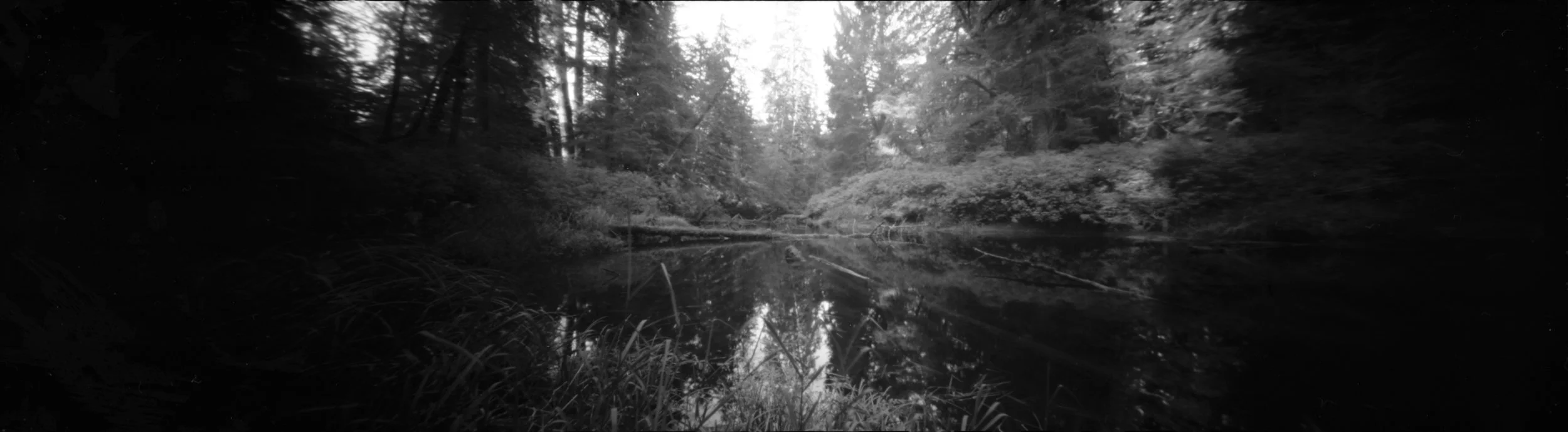 Backwater—San Josef River, Vancouver Island