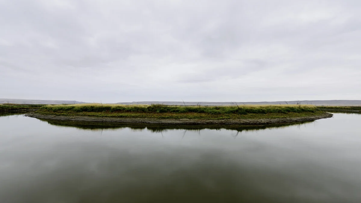 Val Marie Bird Sanctuary.jpg