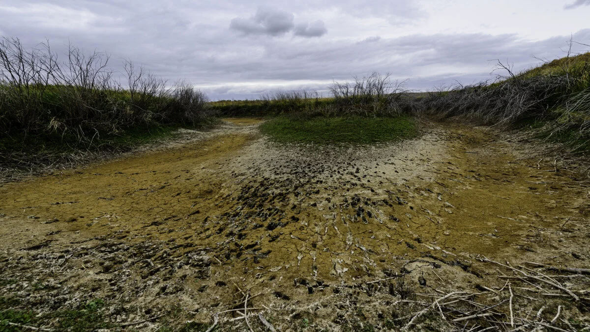 Chris M-FInal-10.jpg