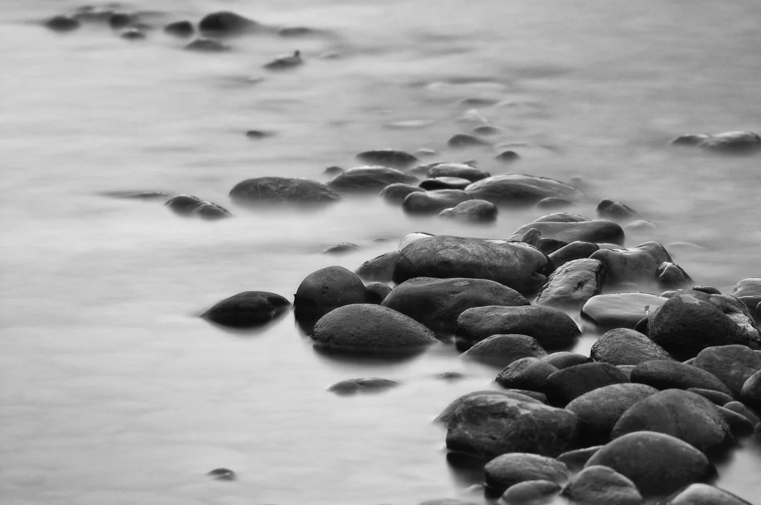 Bow River at dawn.jpg
