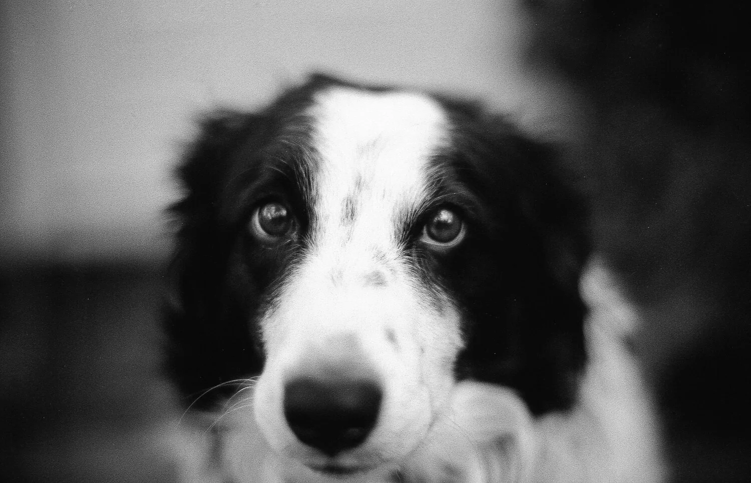 Do Not Want My Photo Taken #1.jpg