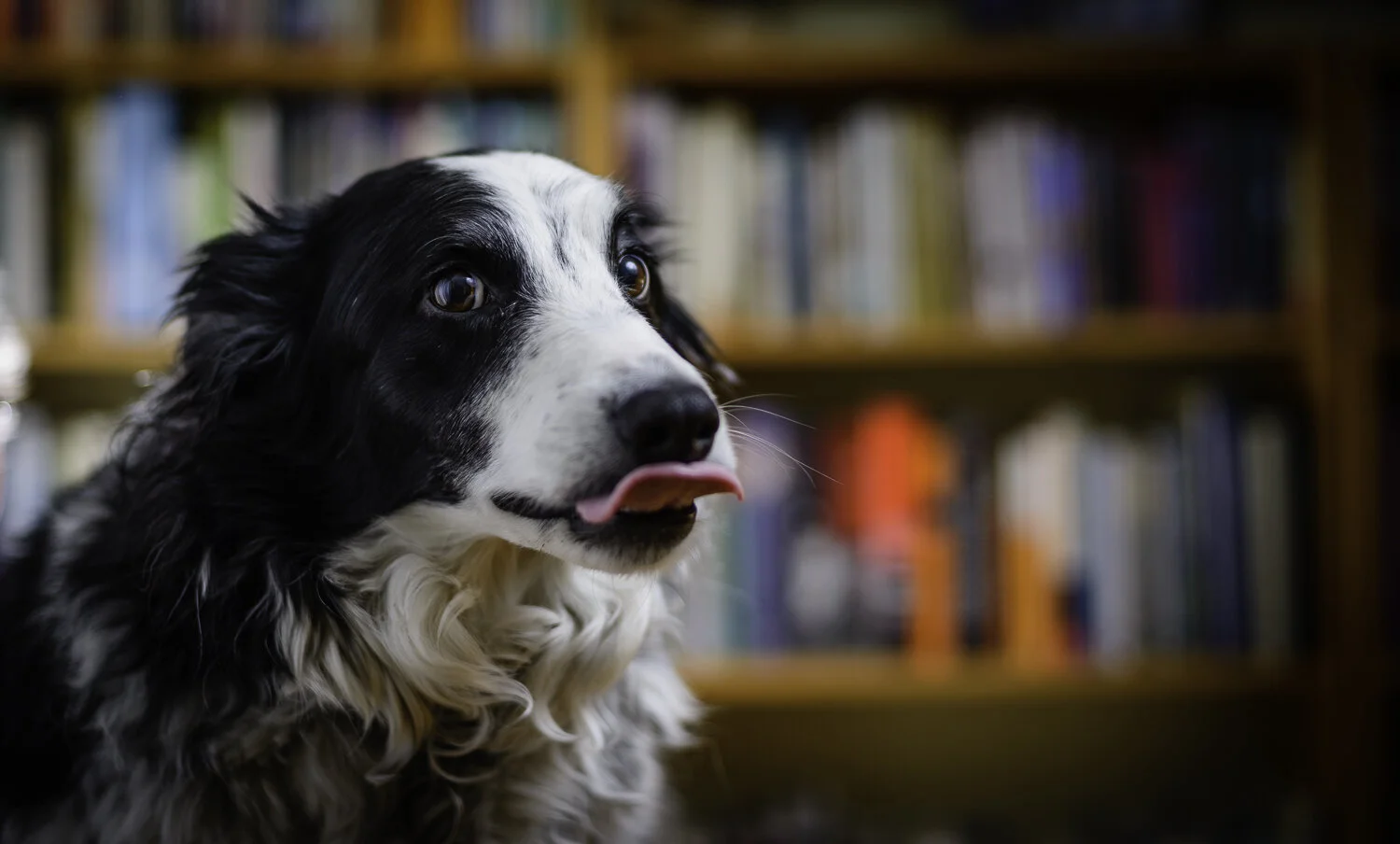 Do Not Want My Photo Taken #7.jpg