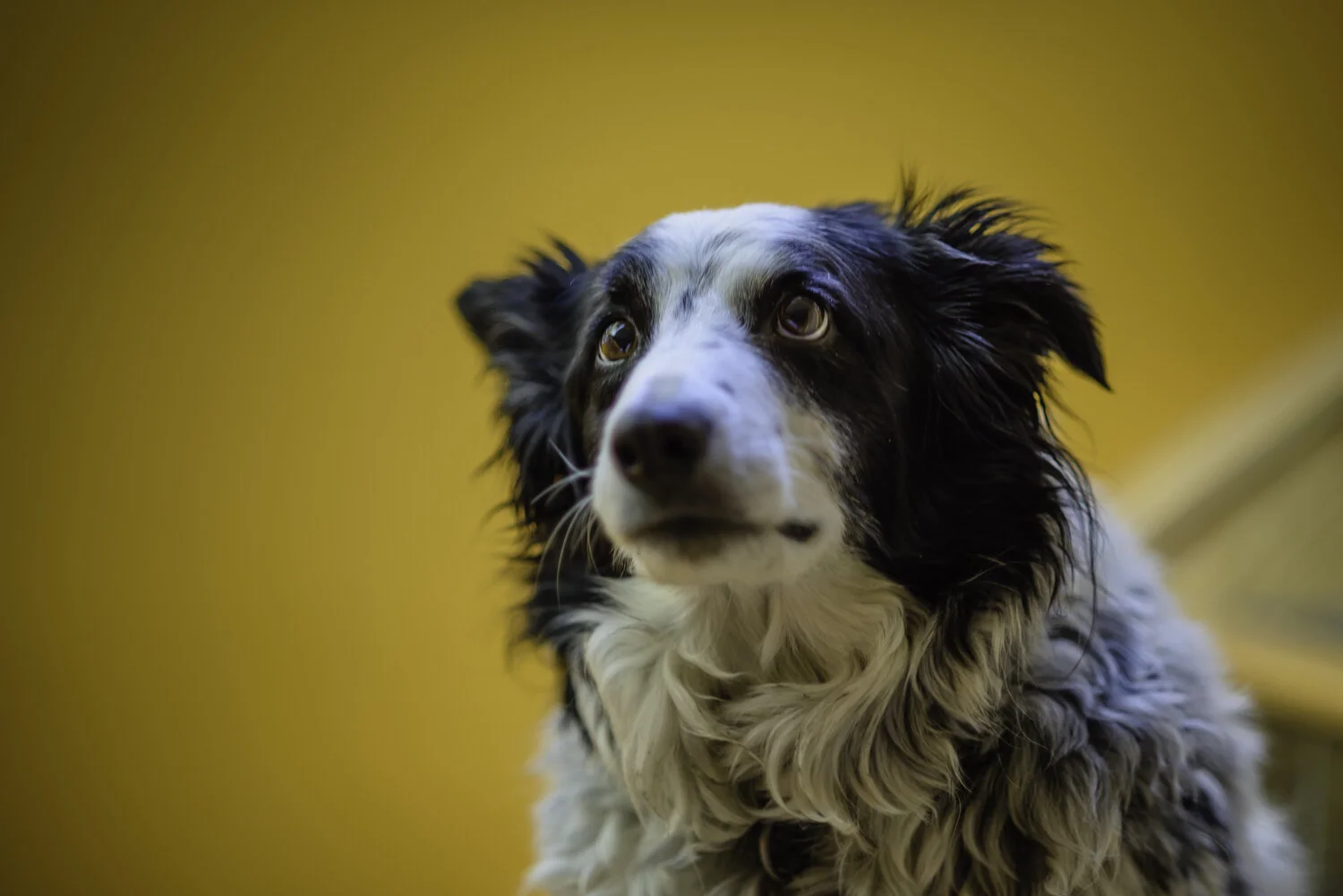 Do Not Want My Photo Taken #8.jpg