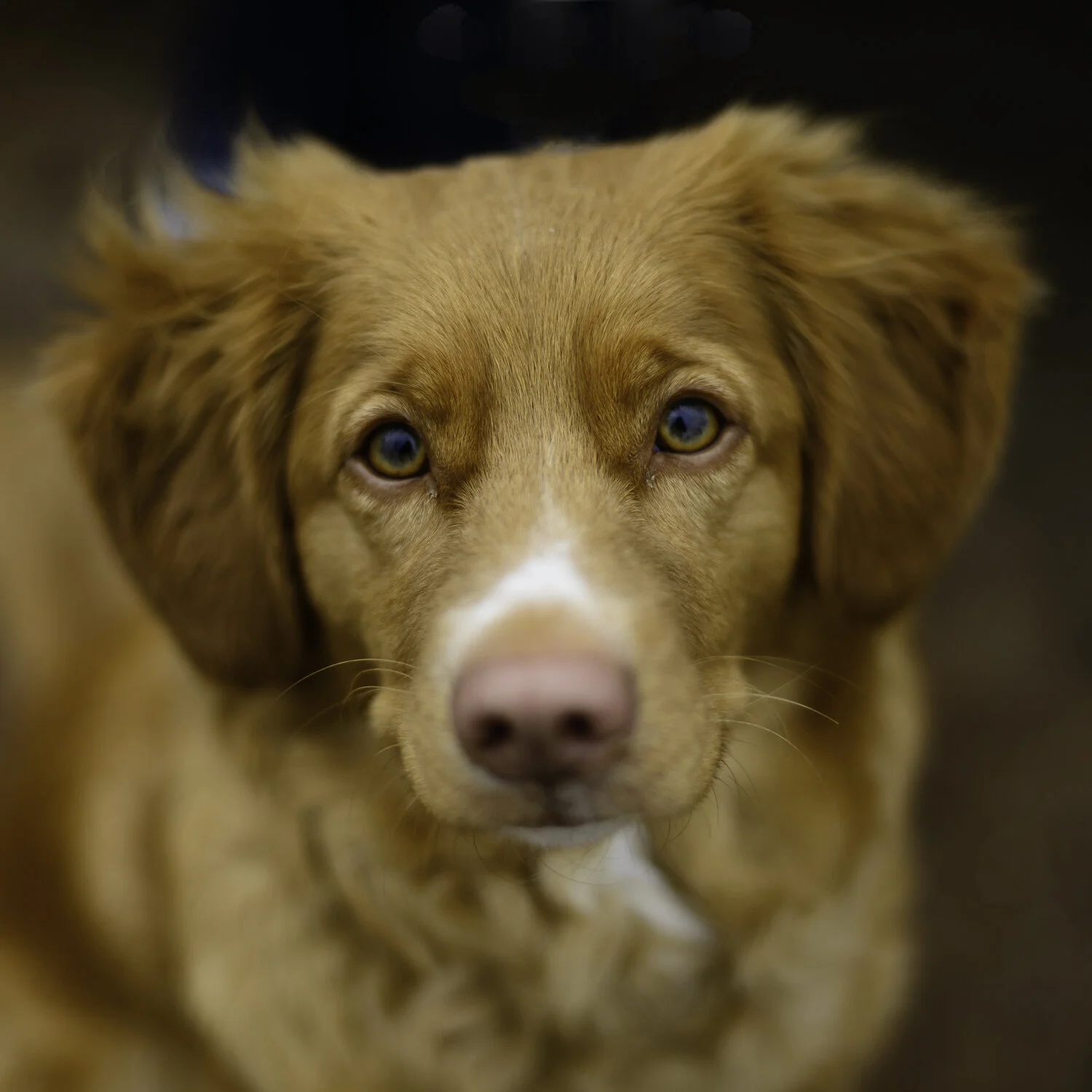 Islay, Fish Creek Provincial Park.jpg