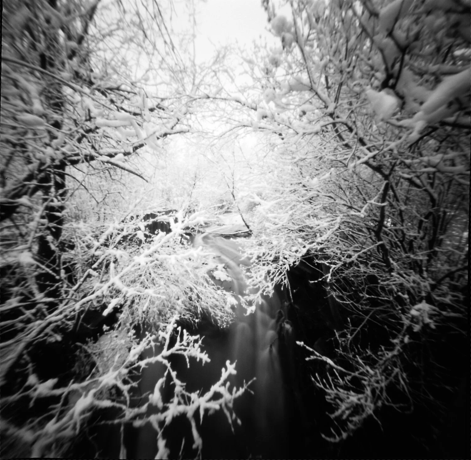 Confederation Park snowstorm