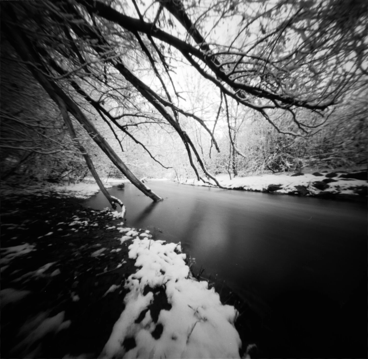 Confederation Park snowstorm
