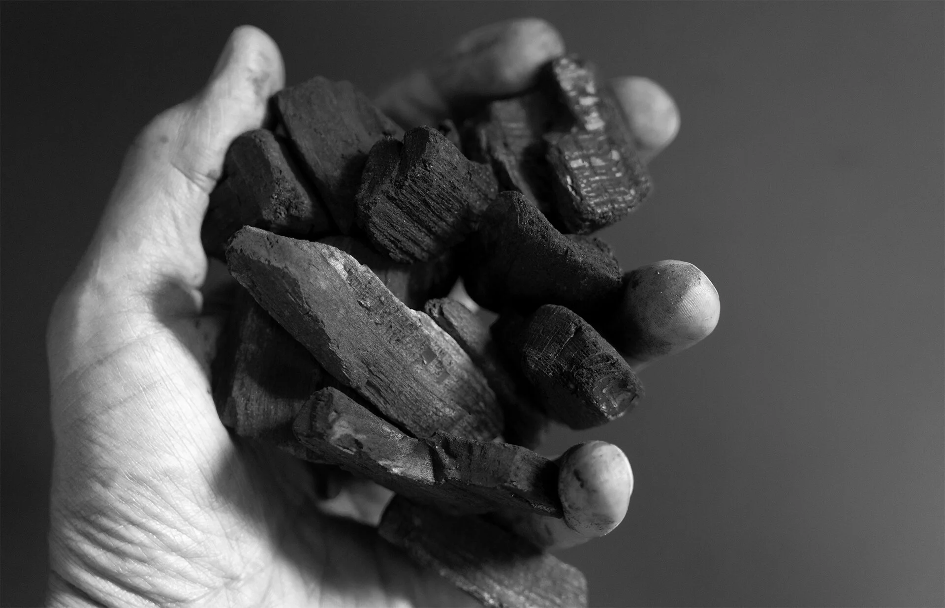 Holzkohle Hand_sw_FHD.jpg