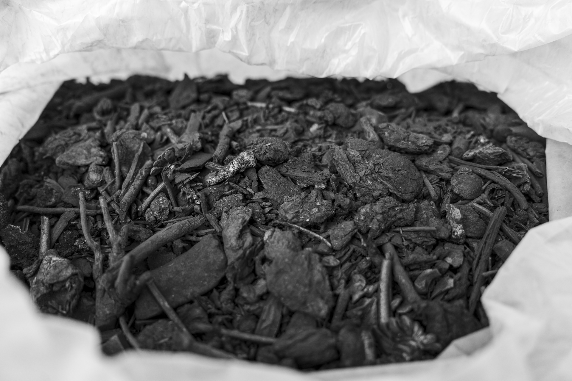 Erfolgreiche Karbonisierung von Siebüberläufen // Successful Carbonization of screen overflows