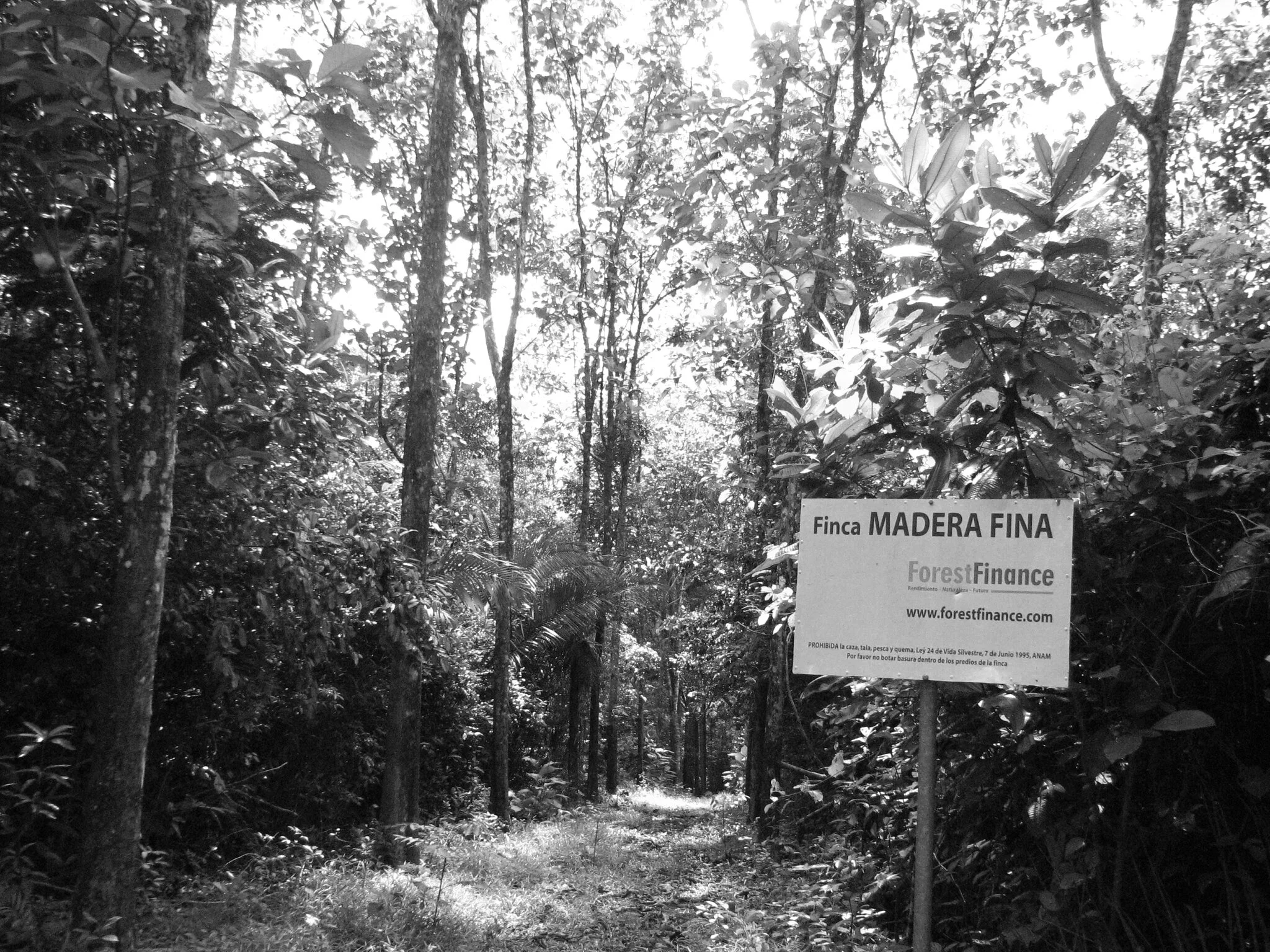 An der Börse: Öko-Anleihe mit 5,1 % Zins mit carbonauten Projekten zeichenbar // On the stock exchange: eco-bond with 5.1% interest rate can be marked with carbonaut projects (Kopie)