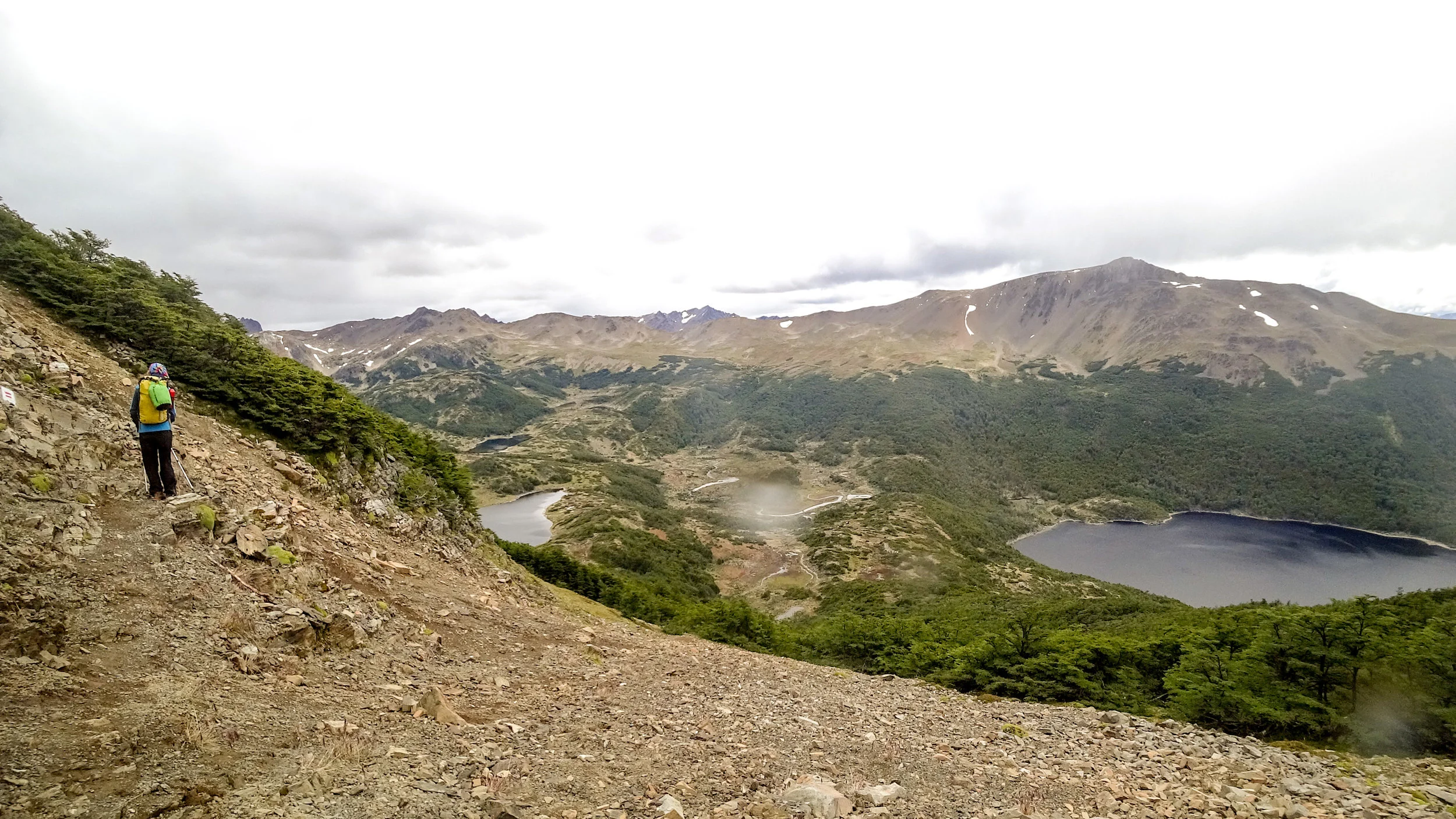 dientes de navarino.jpg