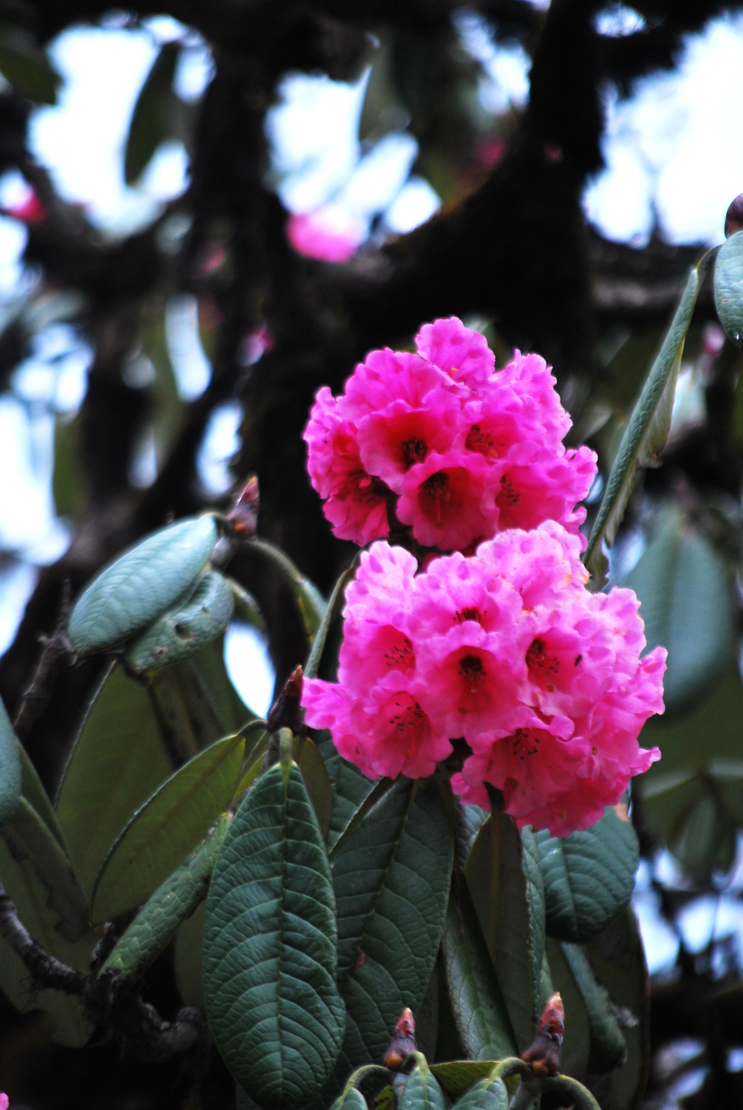 DSC_0884.jpg