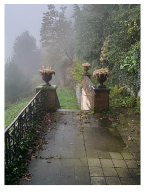 The entry and looking out onto the long driveway