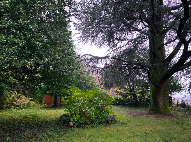 A section of the back garden