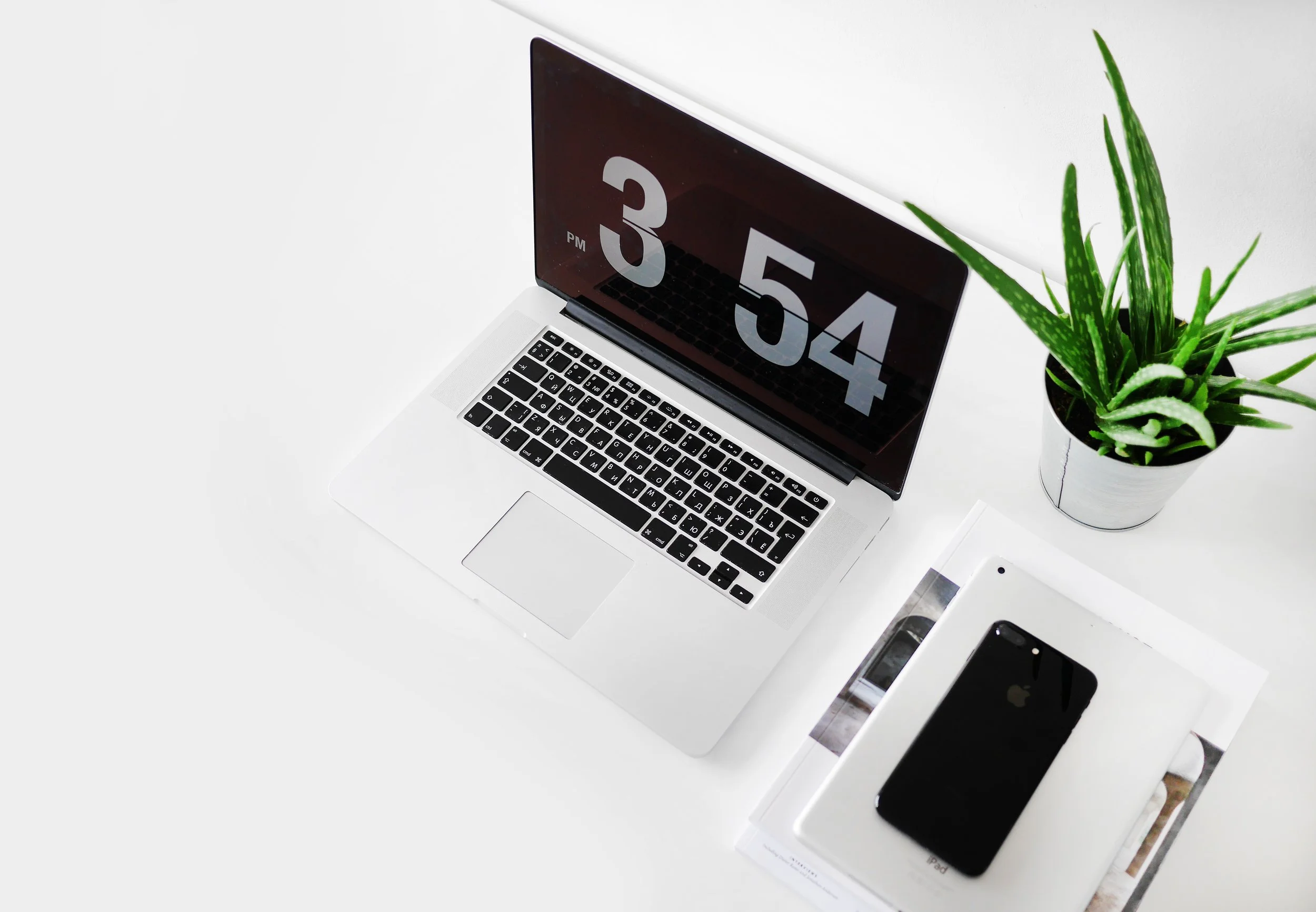 Laptop with plant.jpg