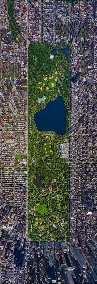 AirPano-NewYorkCentralPark-vertical.jpg