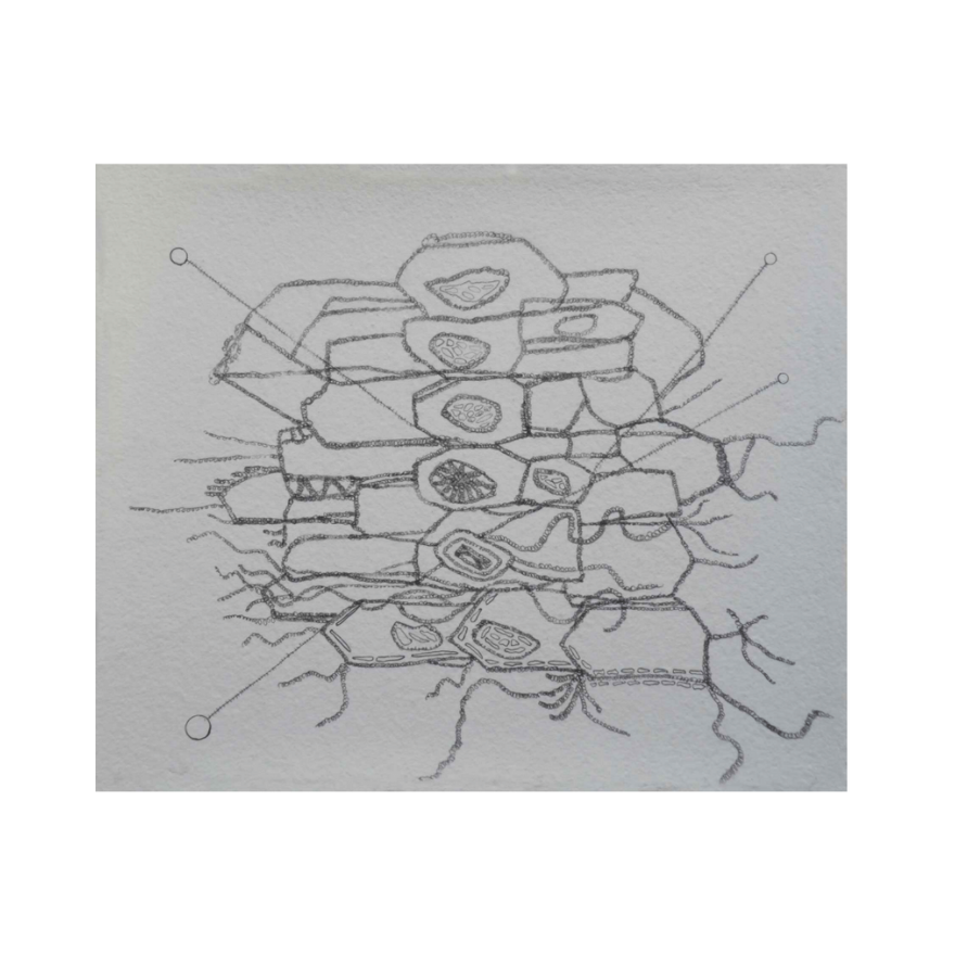 Simons_Aequilibrium II_Graphite Drawing_2019-2020.png