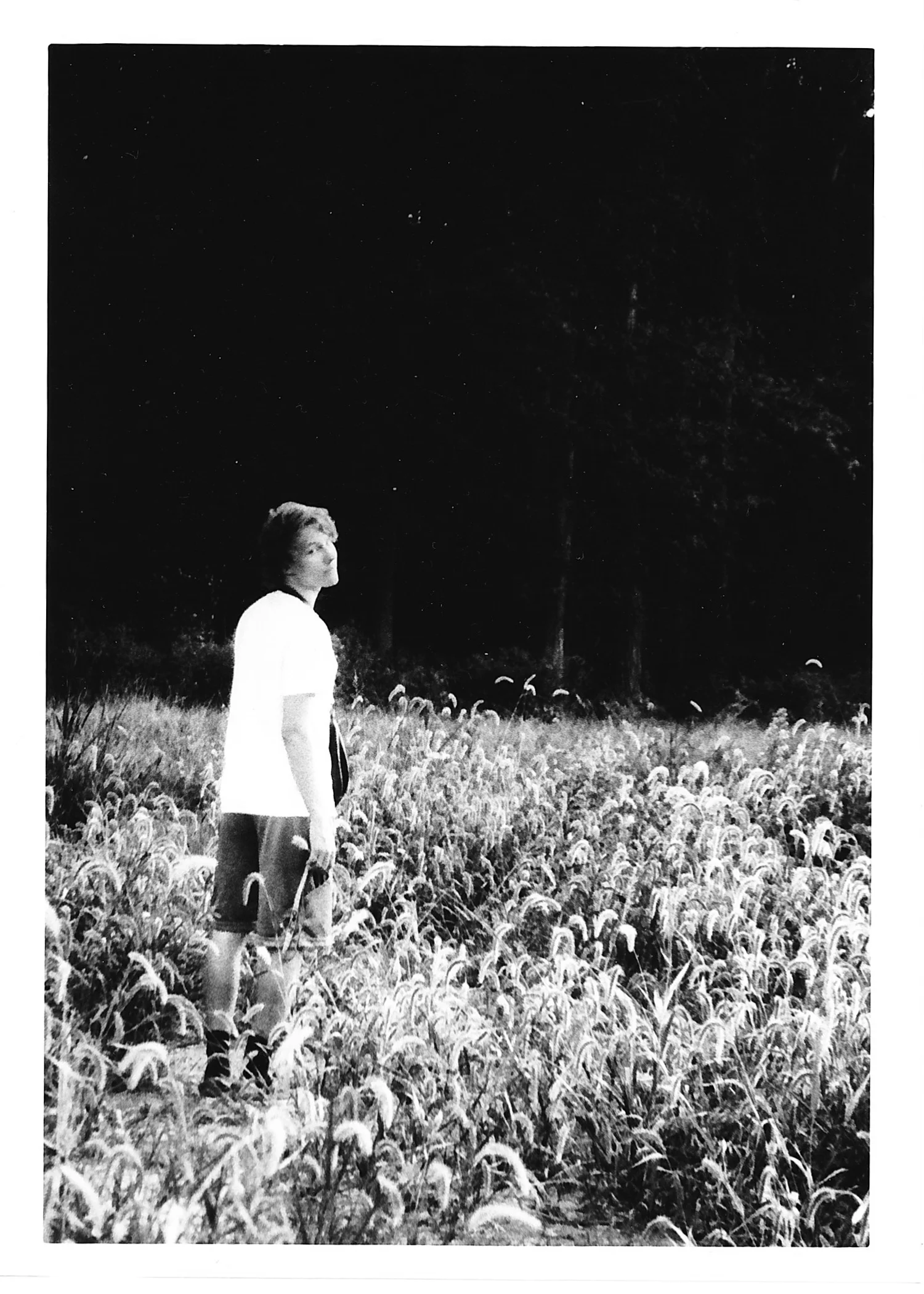 plutus or narcissus.jpg