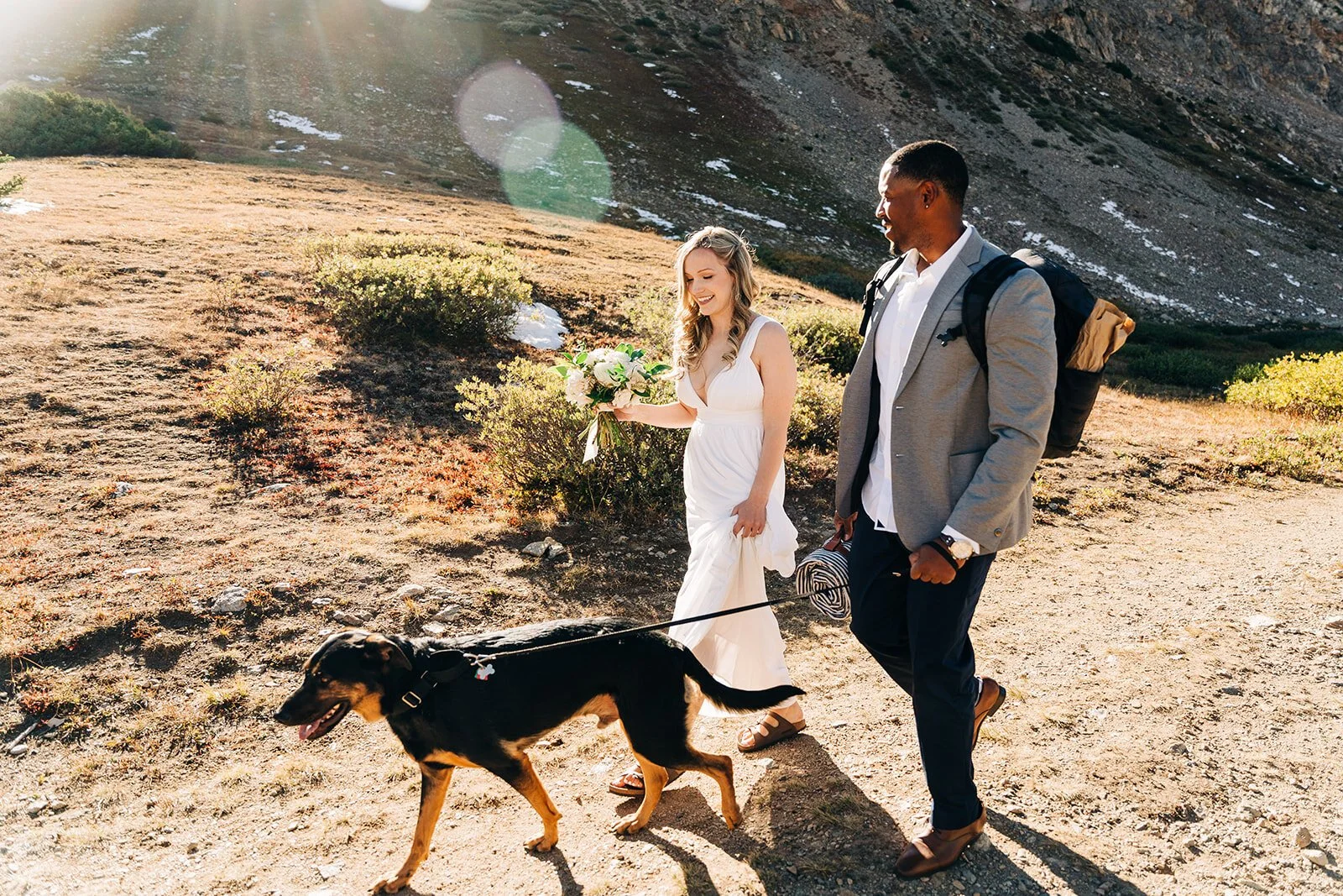 YES! - Your Dog Can "Sign" Your Marriage License in Colorado
