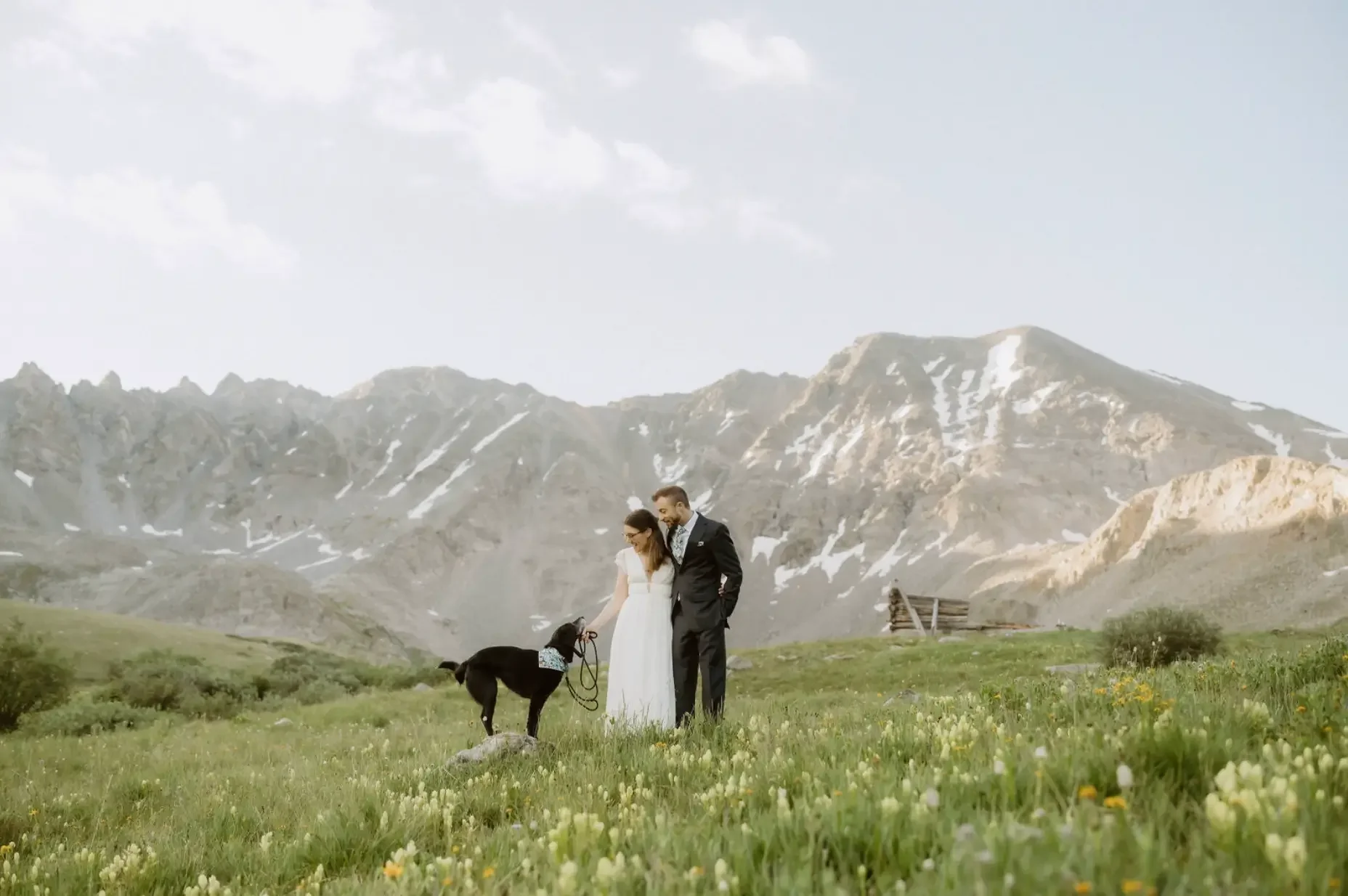 Screenshot+2025-03-17+at+3.35.19 PM (1).webp