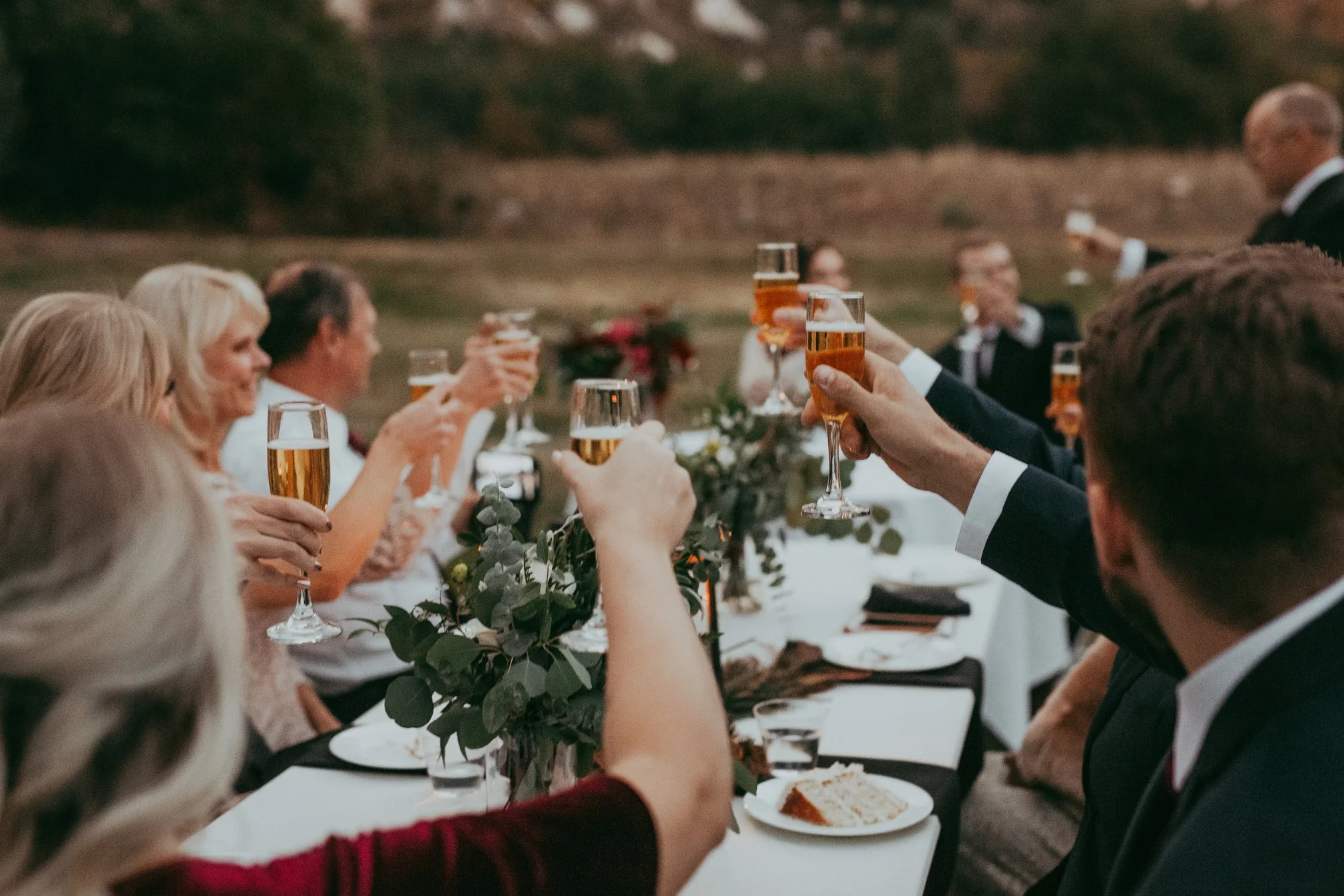 rocky mountain national park wedding reception with family doing cheers