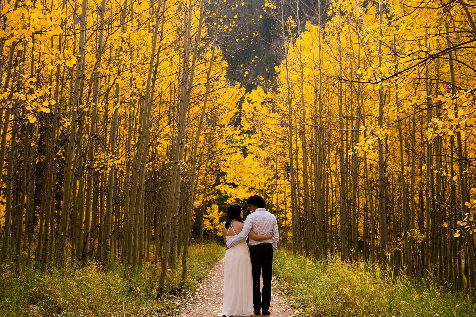 rocky mountain national park elopement with fall colors and changing aspen trees