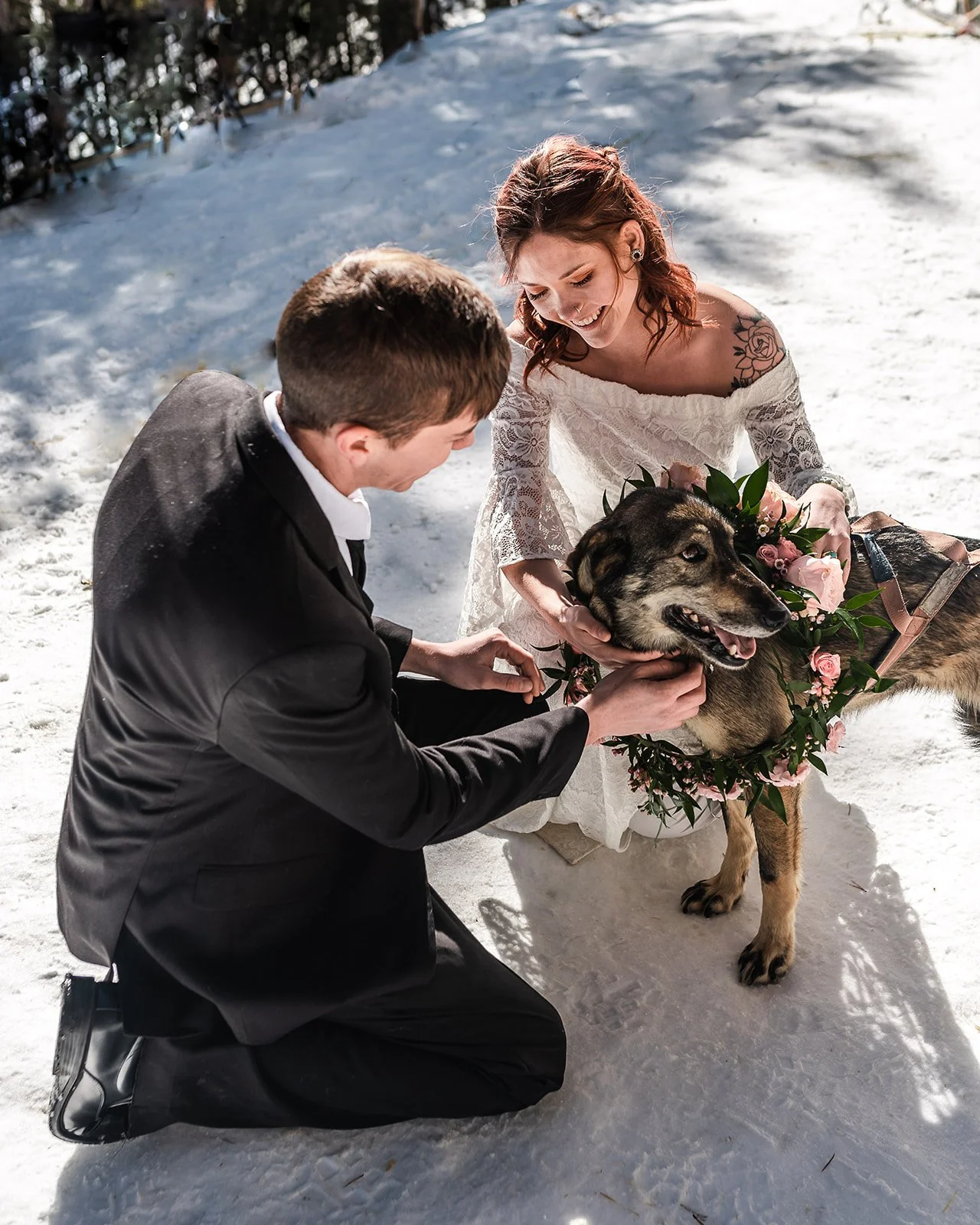 wedding couple putting flowers on dog in colorado
