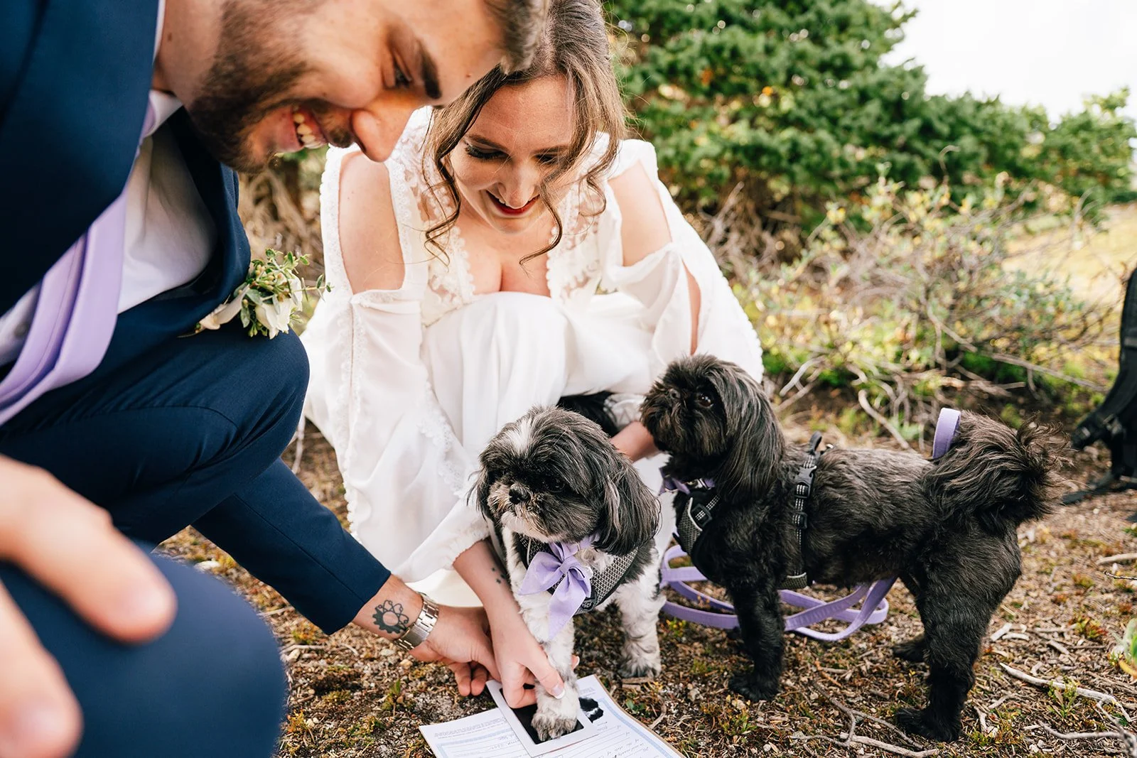 rocky mountain national park wedding with bride and groom having their dogs sign the marriage license