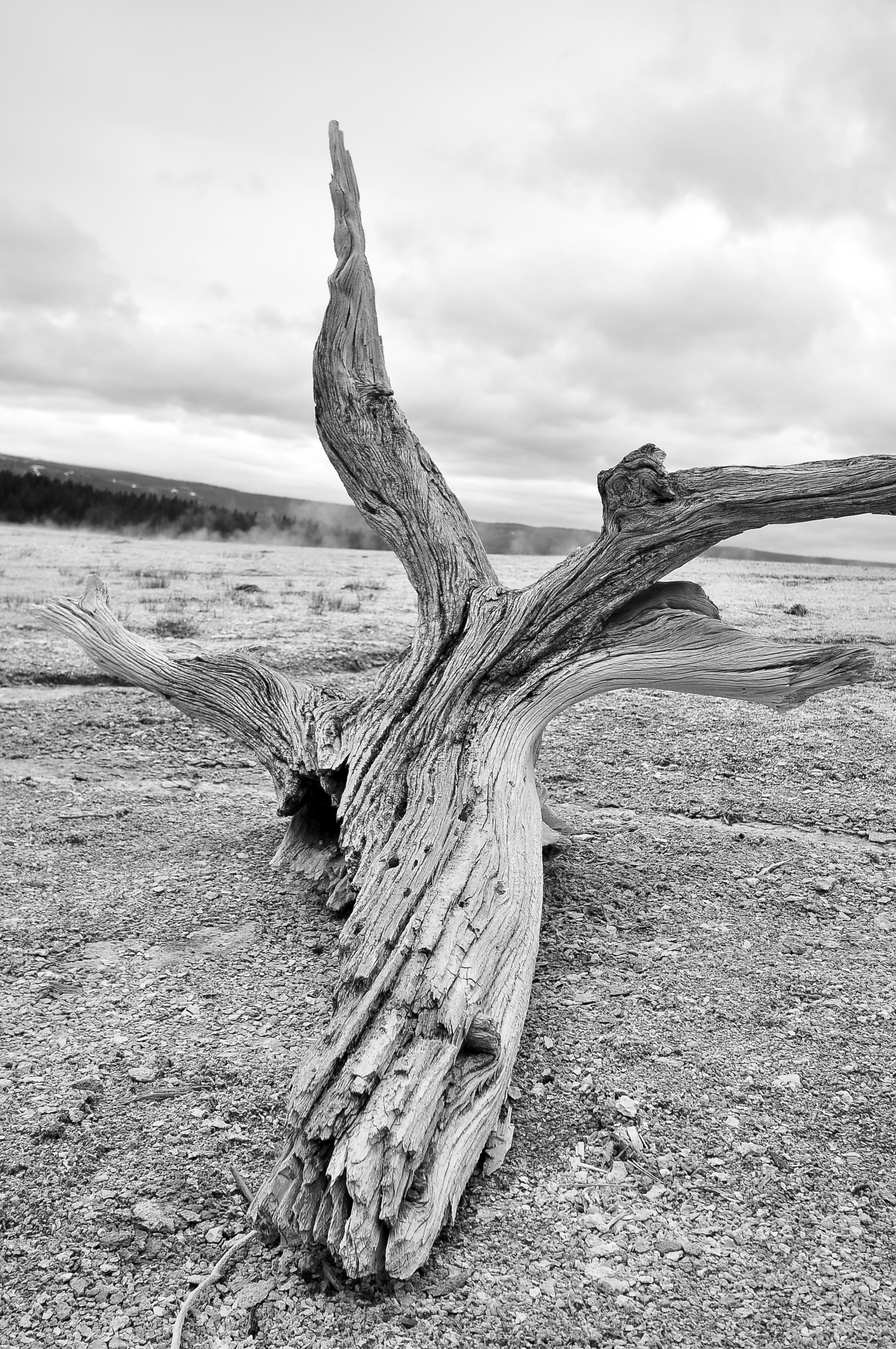 DSC_0365.jpg