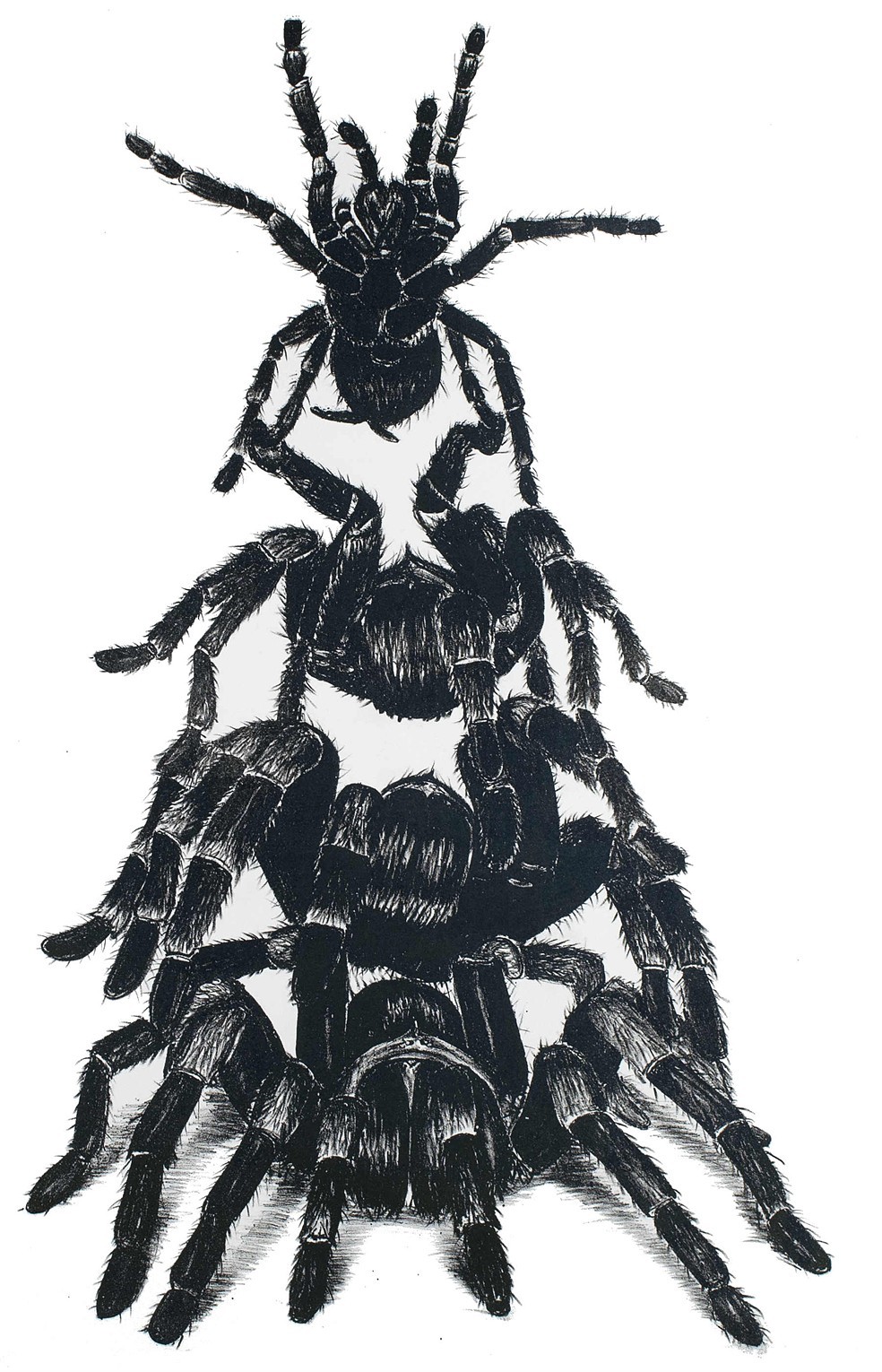   Teamwork   Lithograph on paper  33x22.5 in  2017 