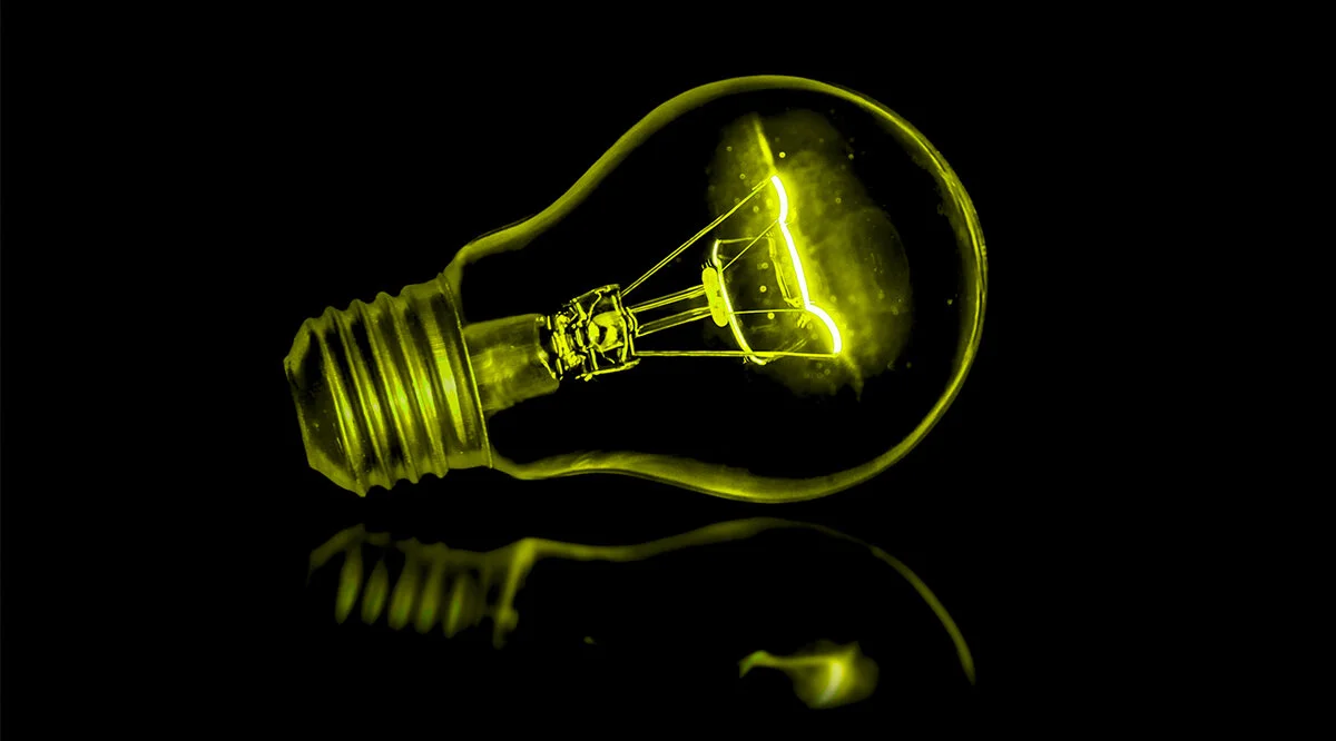 Behavioral Scientist: Imagining the Next Decade of Behavioral Science 