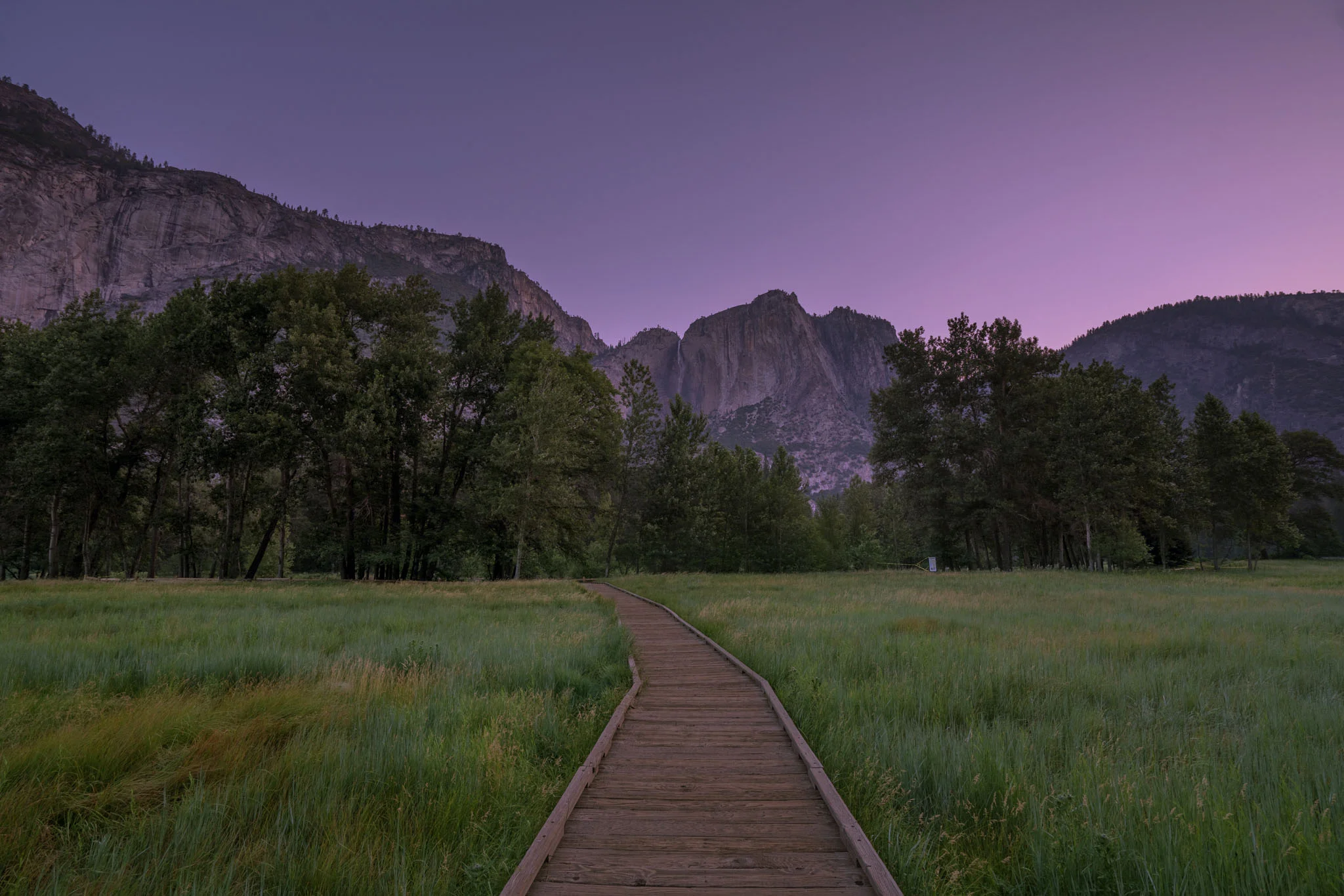 Sentinel Meadow Trail