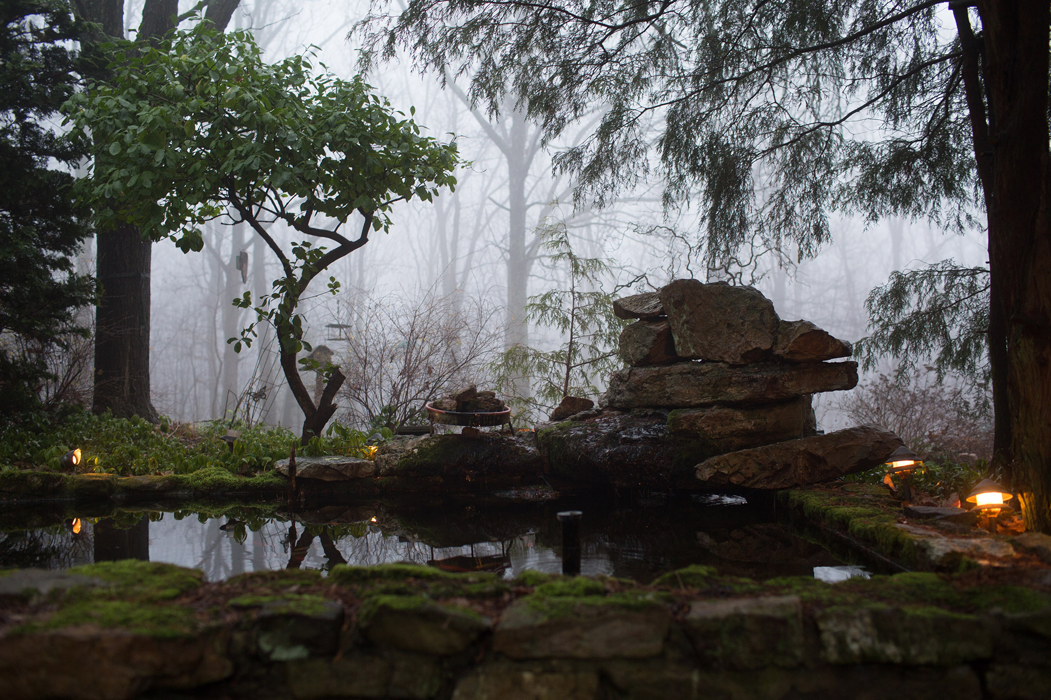 Fish Pond in New Ringgold