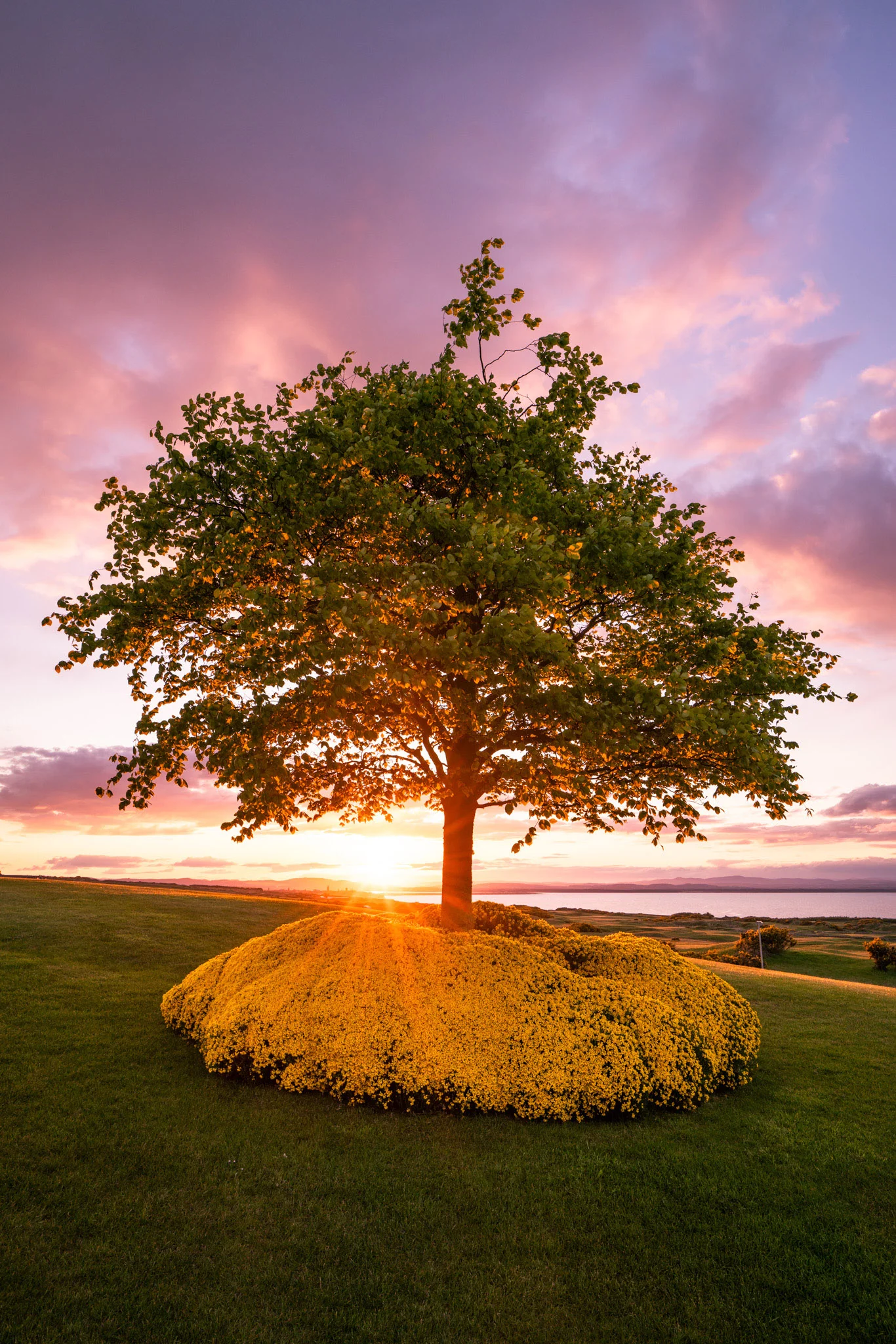Sunset at St Andrews