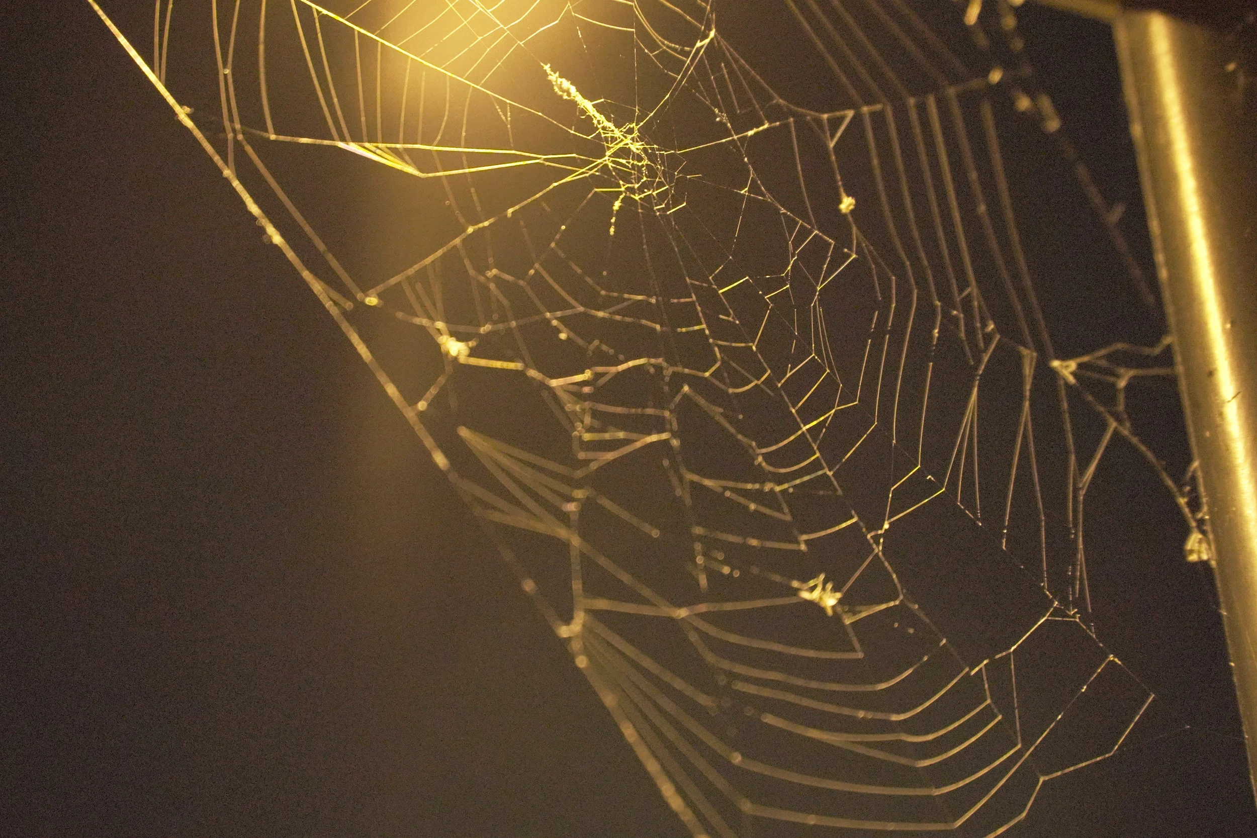 web.jpg