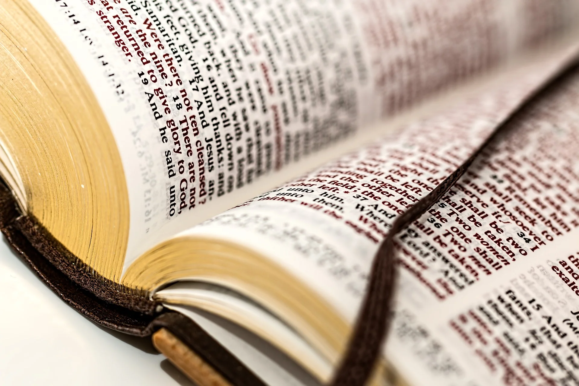 “Study to show yourself approved unto God, a workman who needs not be ashamed, rightly dividing the Word of Truth.” 2 Timothy 2:15