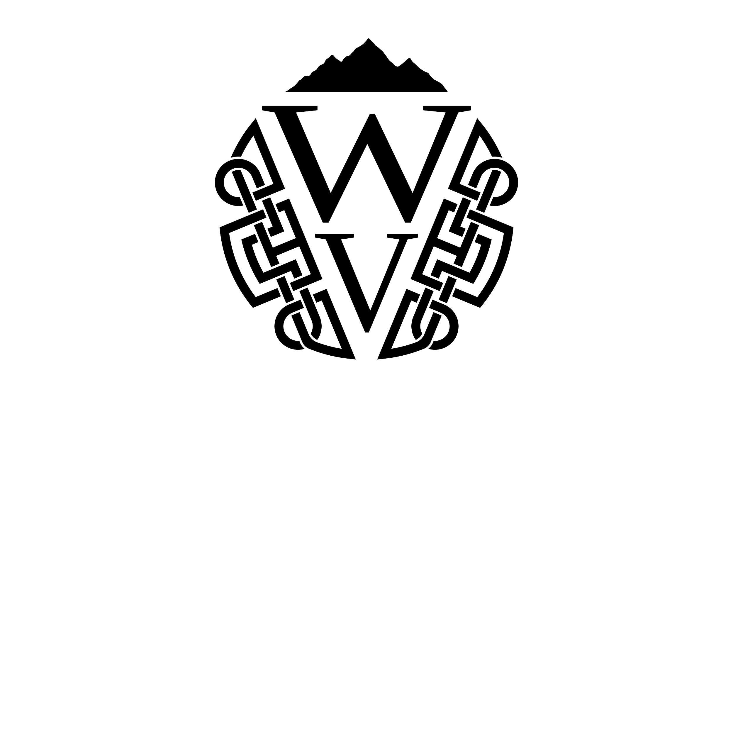 WVPnD logo final website_White on Black no text.png