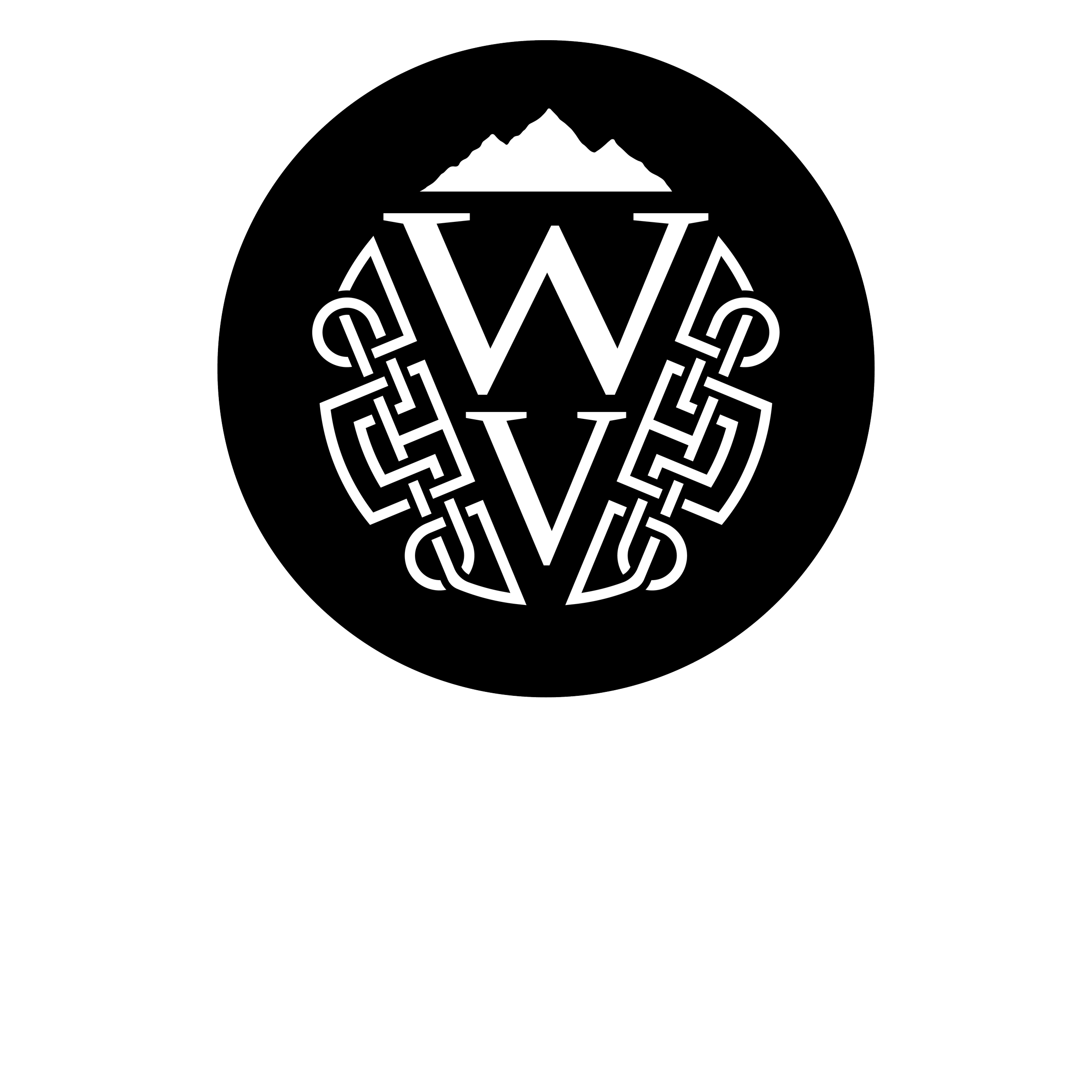 WVPnD logo final website_Black on White no text.png