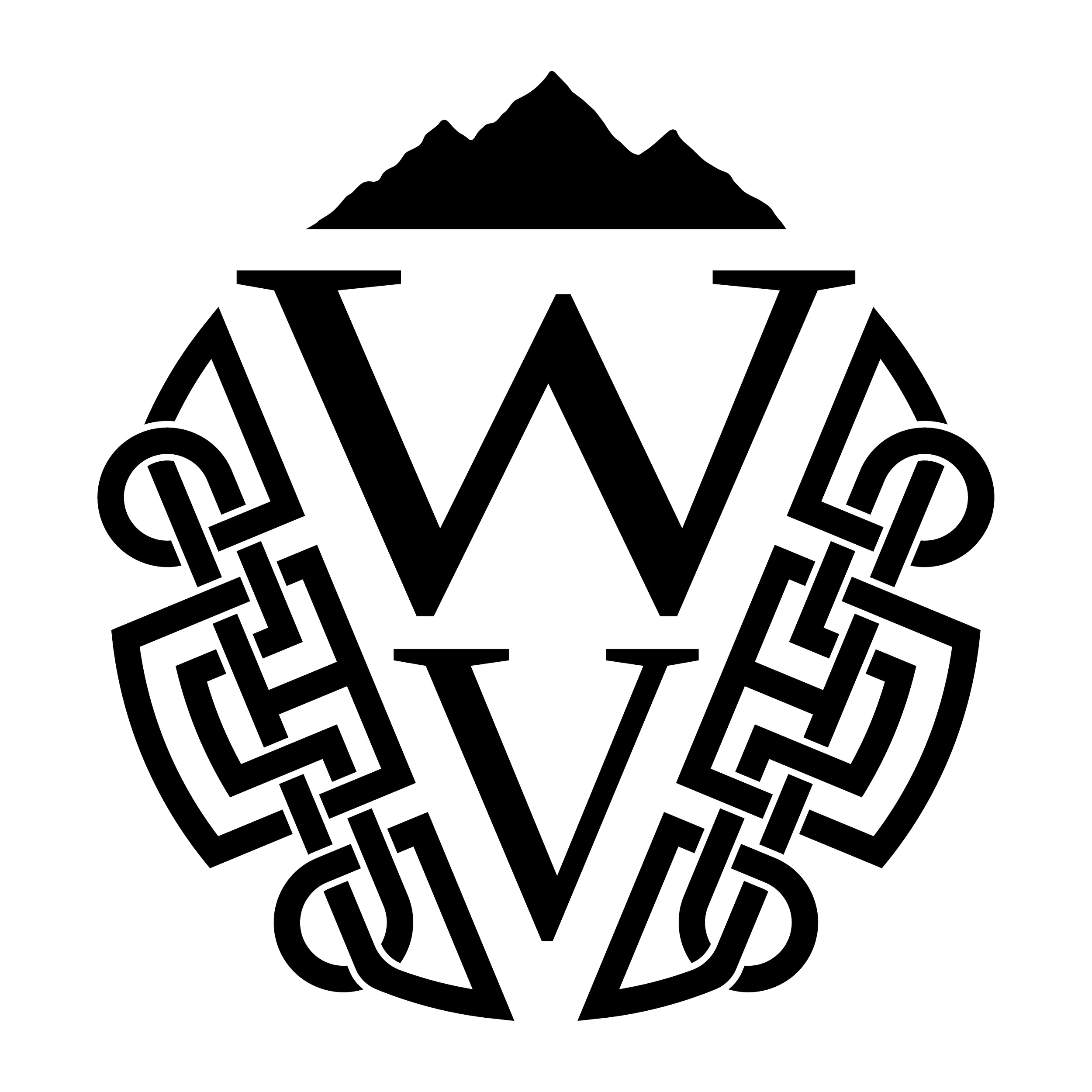 WVPnD logo final_White on Black no text.png