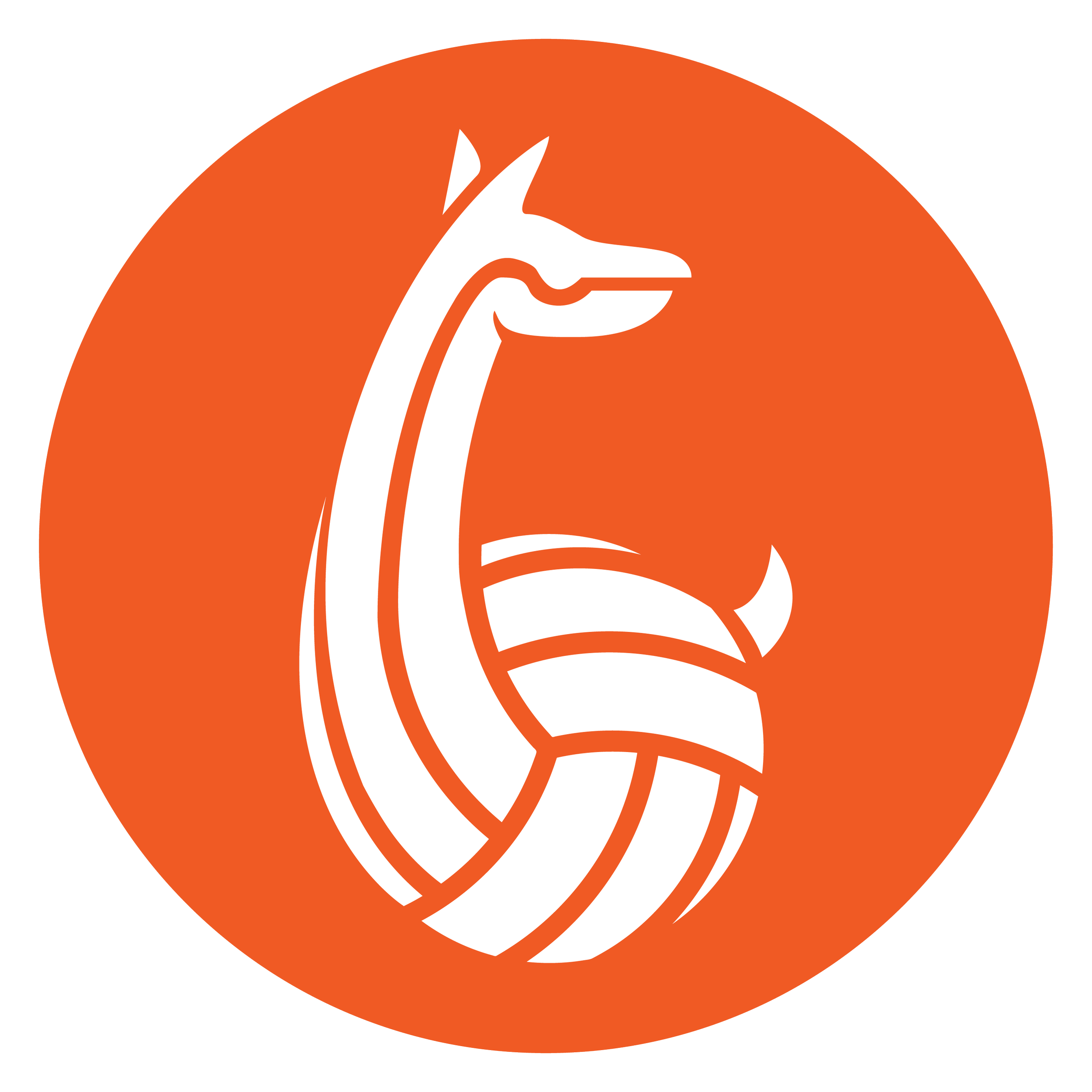 Volley Llama banner-05.png