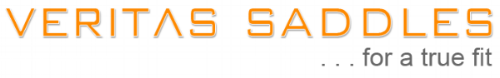 aboutveritasorange.gif