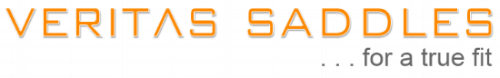 aboutveritasorange.gif
