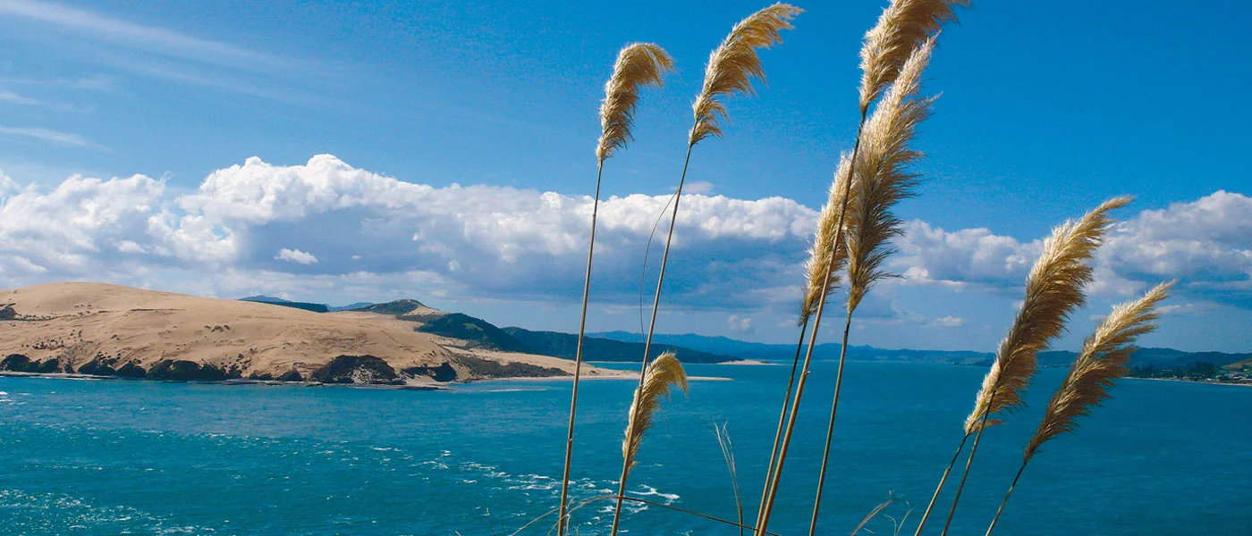 Hokianga Harbour | Omapere | Opononi | Sand Dunes