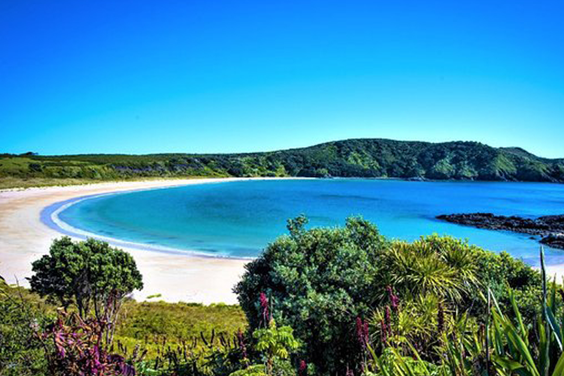 NEW_0000_matai bay.jpg