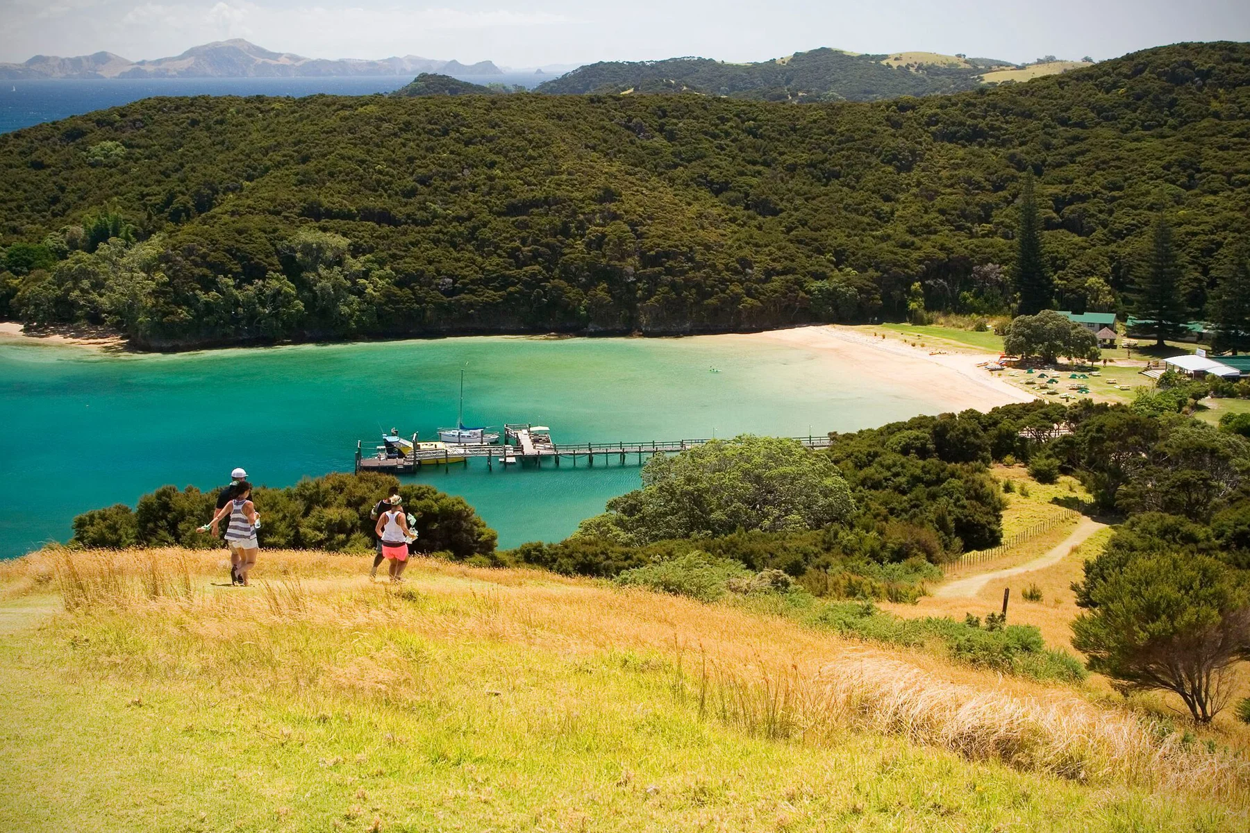 NEW_0015_otehei bay 1_preview.jpg